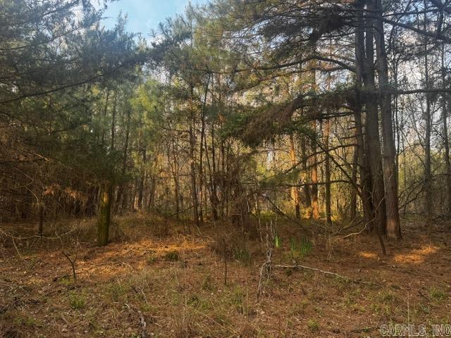 2110 Hoelscher  Pocahontas, AR