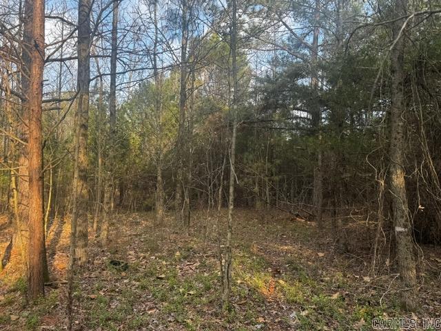 2110 Hoelscher  Pocahontas, AR