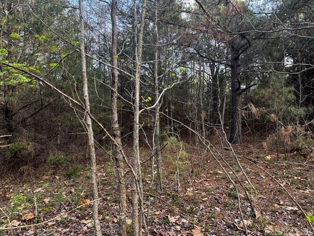 2110 Hoelscher  Pocahontas, AR