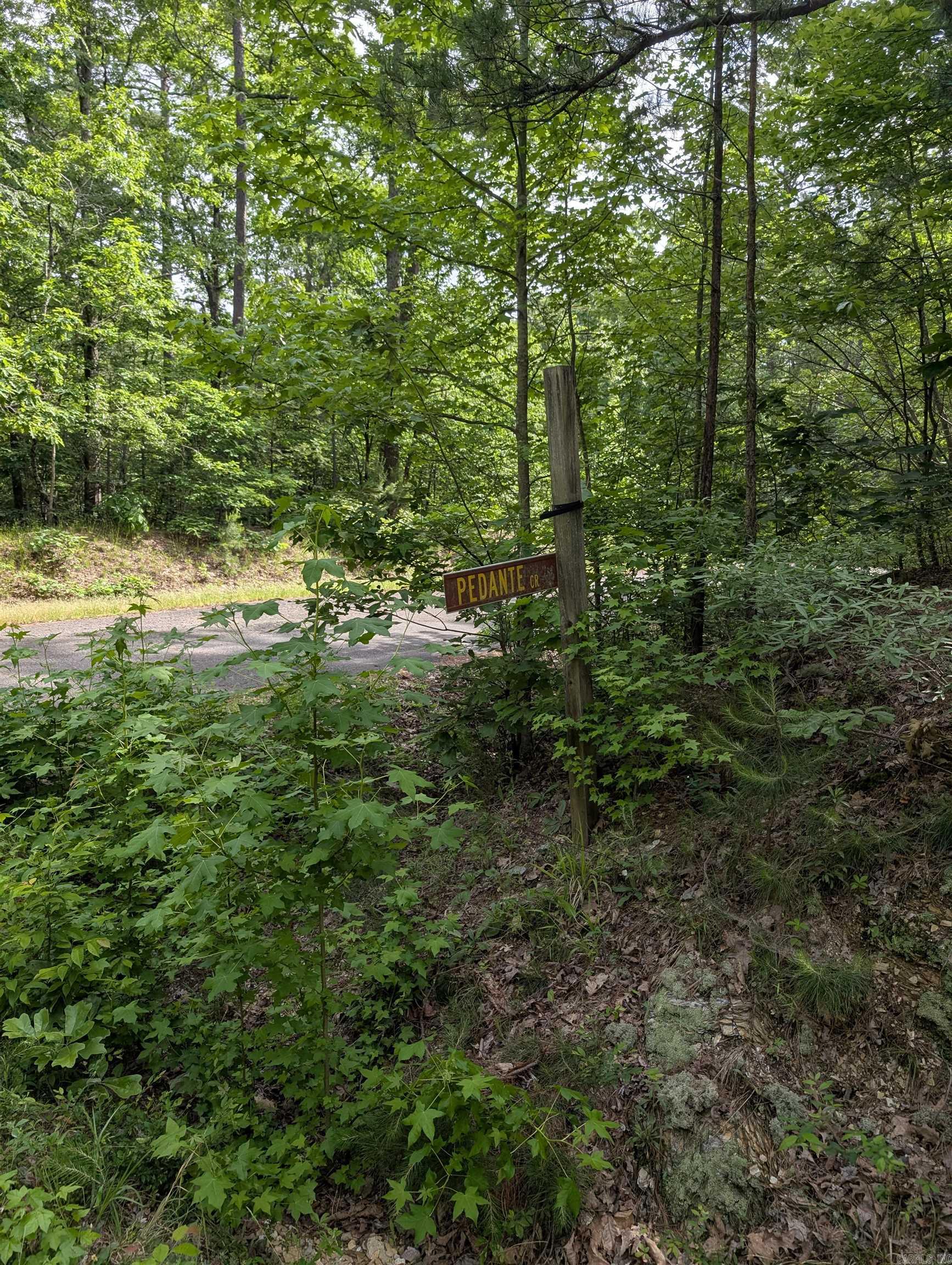 TBD Pedante  Hot Springs Village, AR