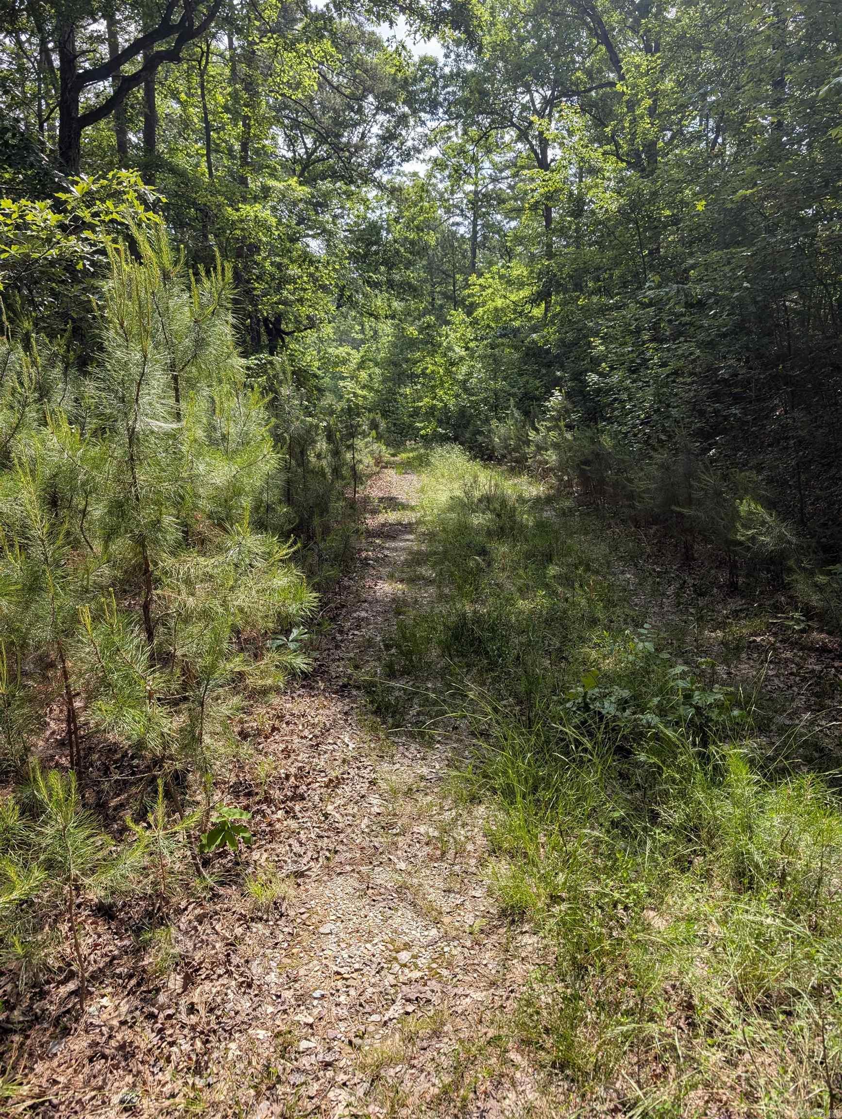 TBD Pedante  Hot Springs Village, AR