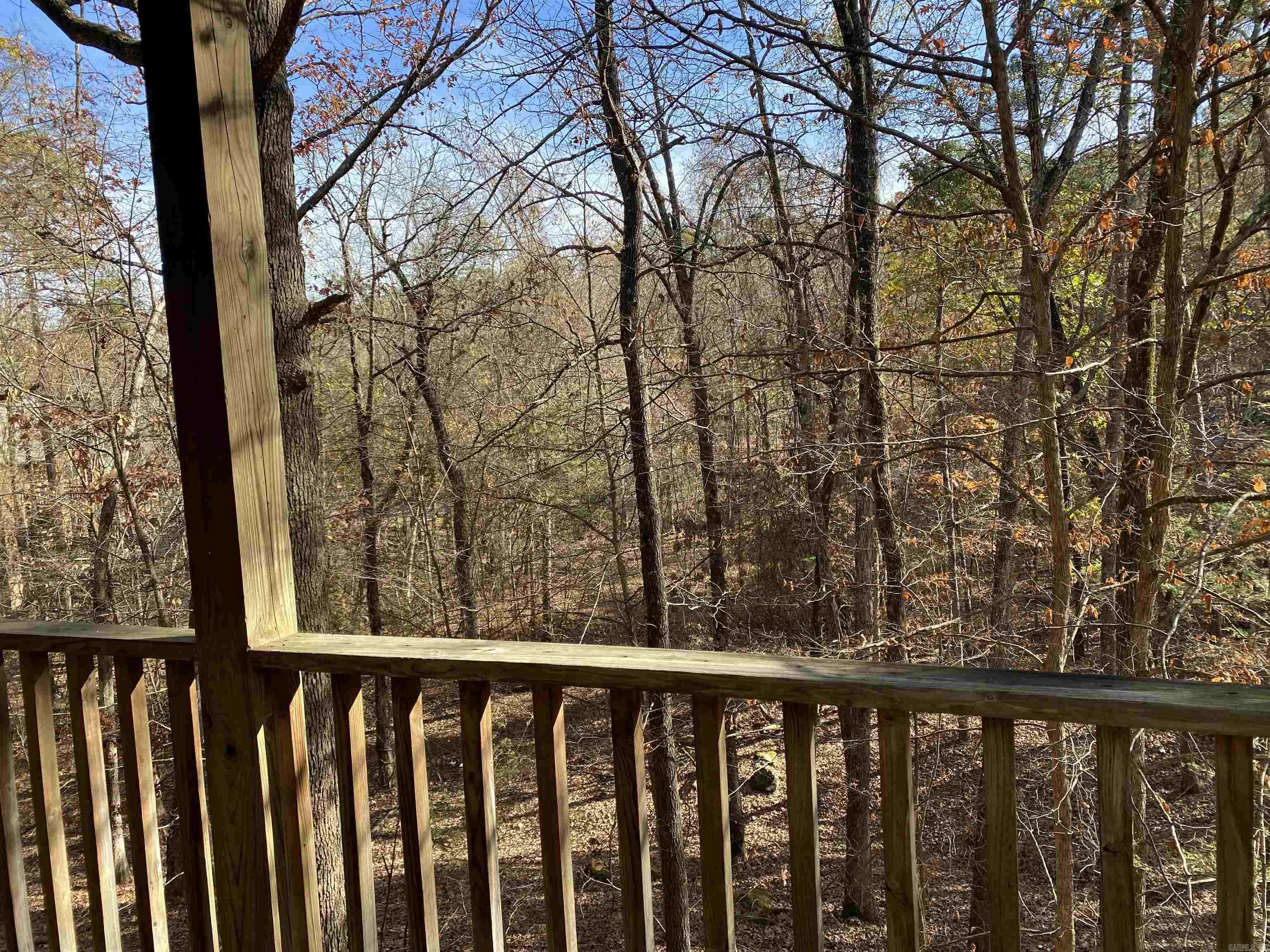 46B Peninsula  Mount Ida, AR