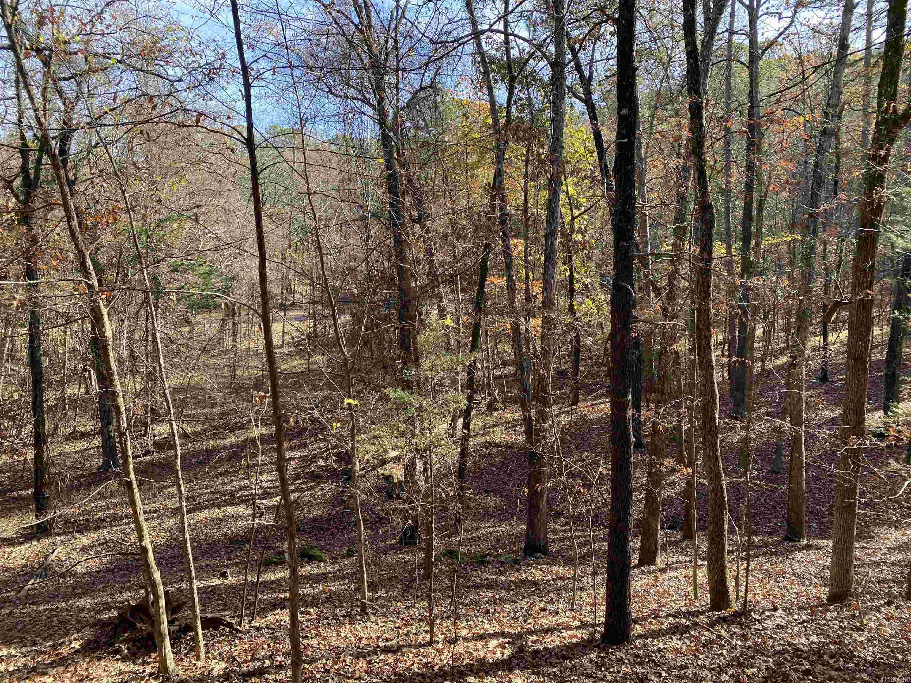 46B Peninsula  Mount Ida, AR