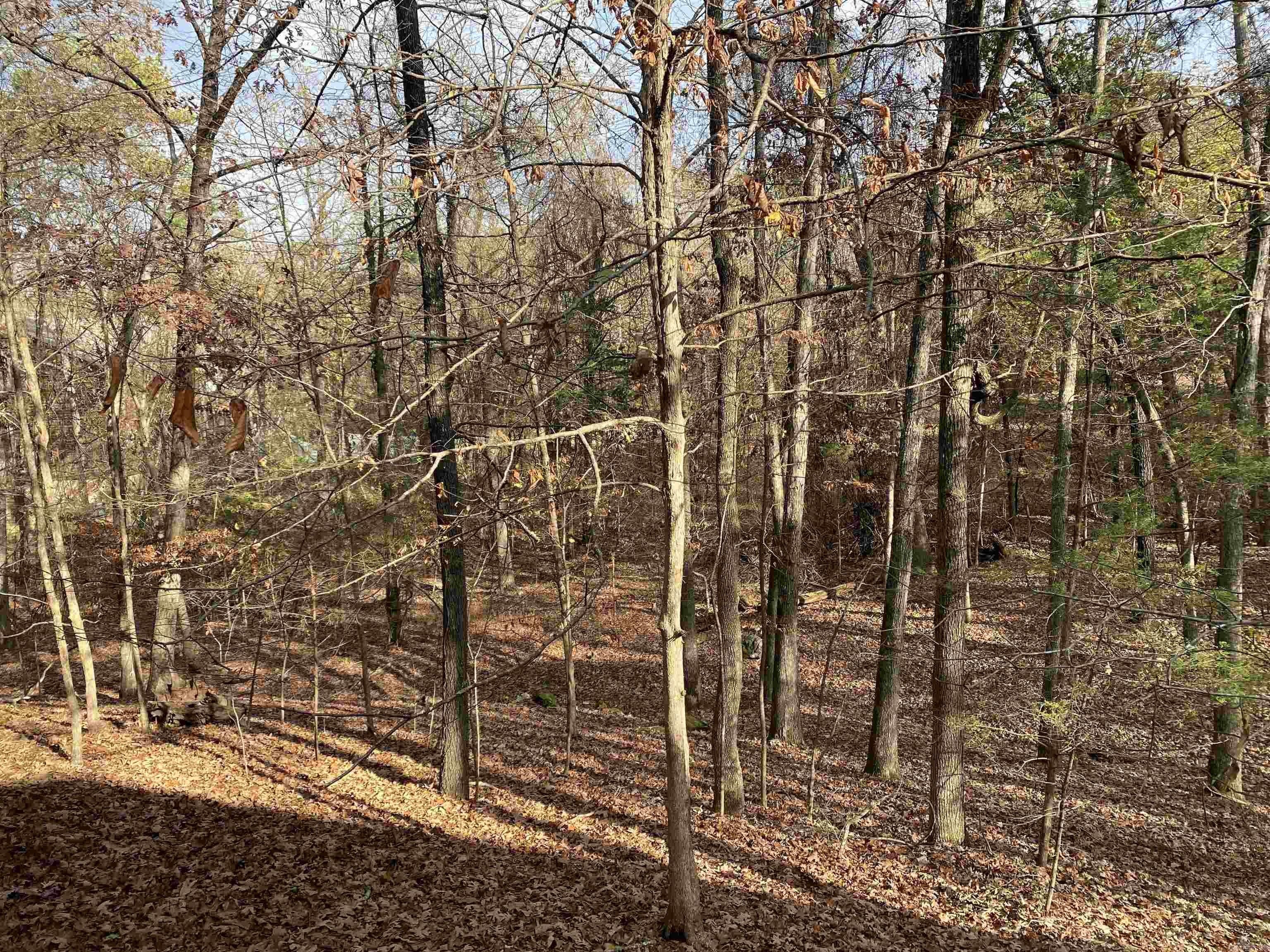 46B Peninsula  Mount Ida, AR