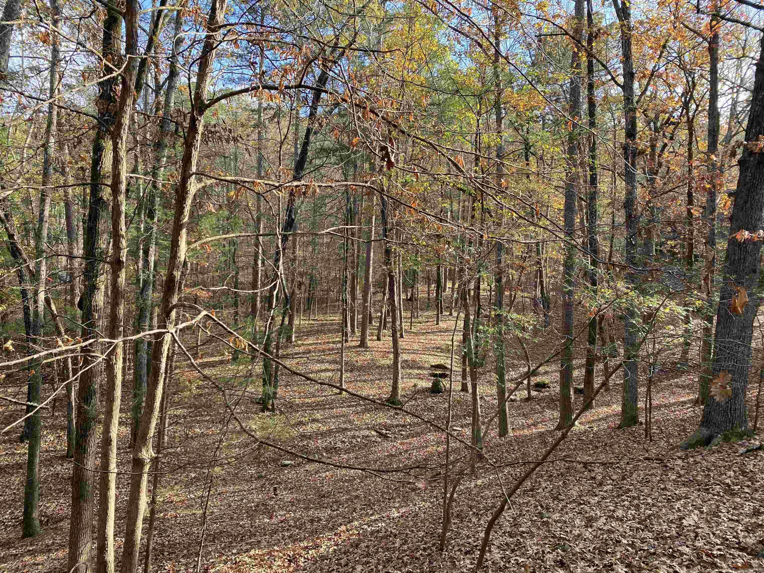 46B Peninsula  Mount Ida, AR