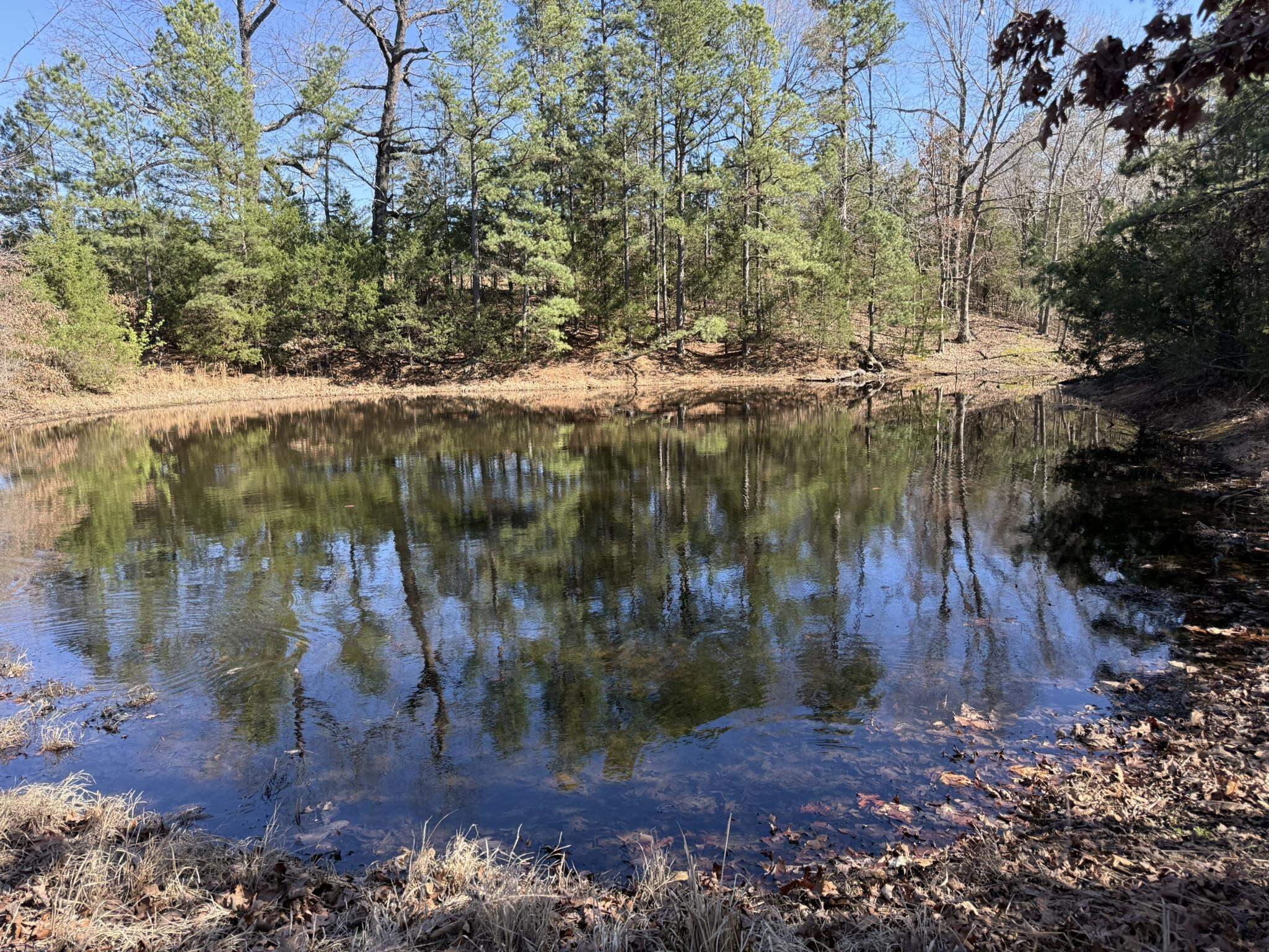 20B Highway 58 East  Melbourne, AR