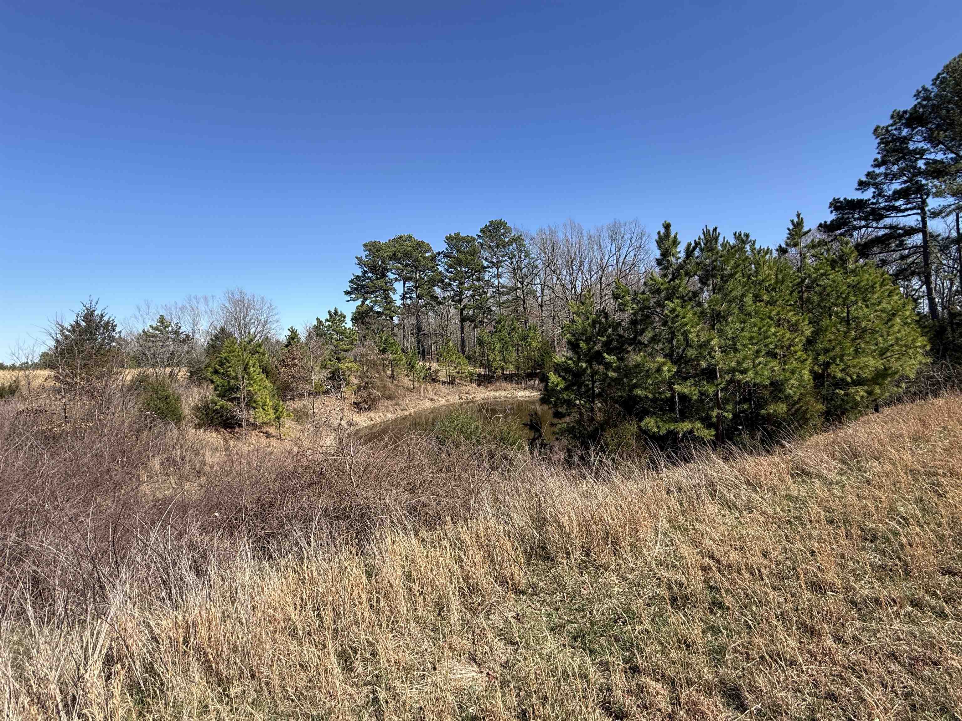 20B Highway 58 East  Melbourne, AR