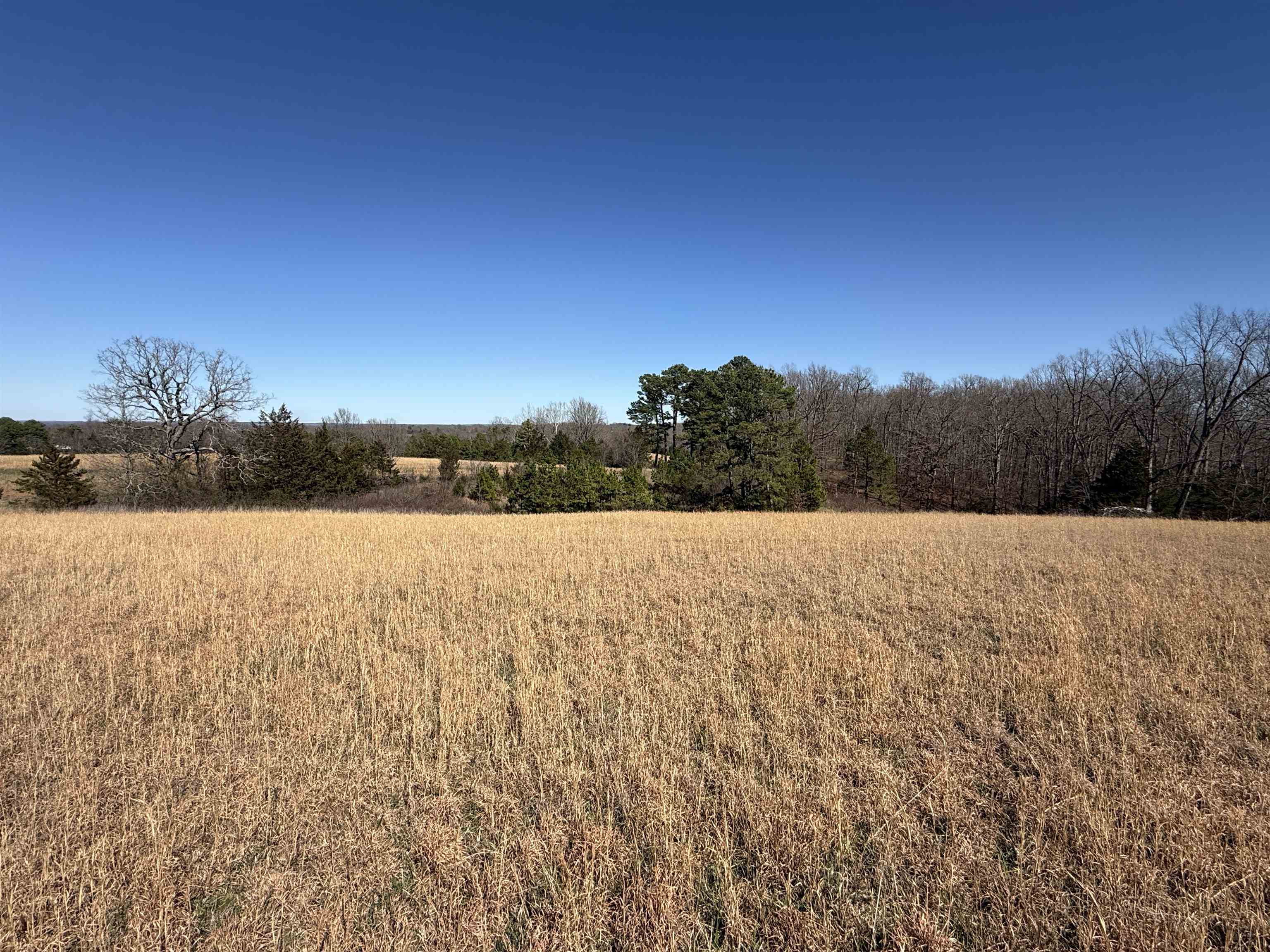 20B Highway 58 East  Melbourne, AR