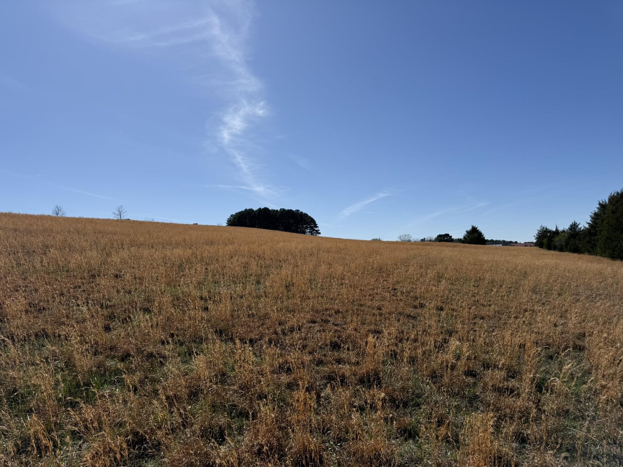 20B Highway 58 East  Melbourne, AR