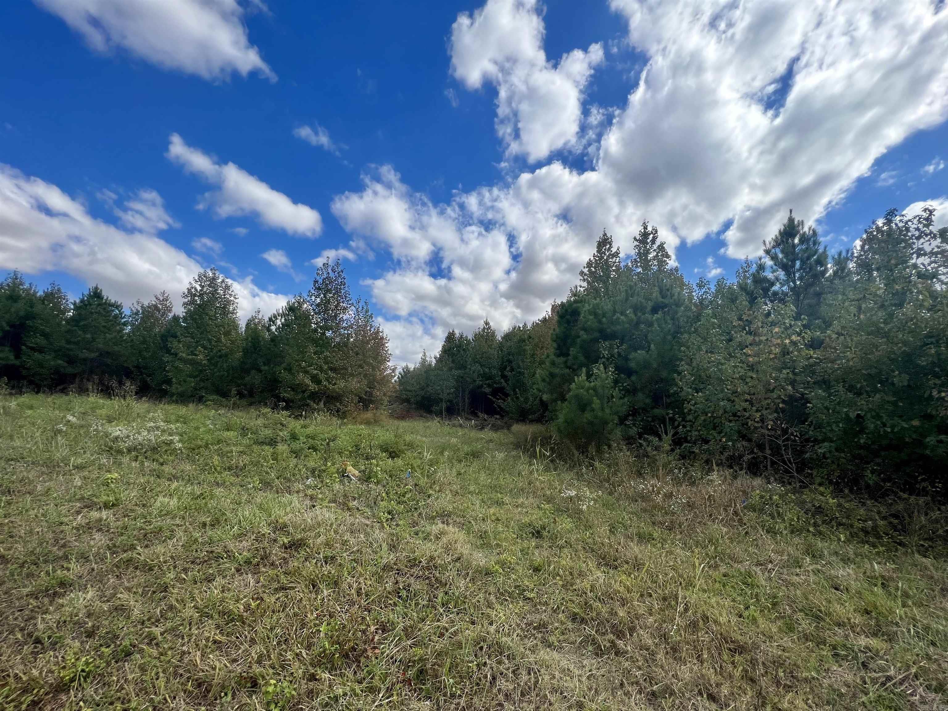 00 Hwy. 49  Brookland, AR