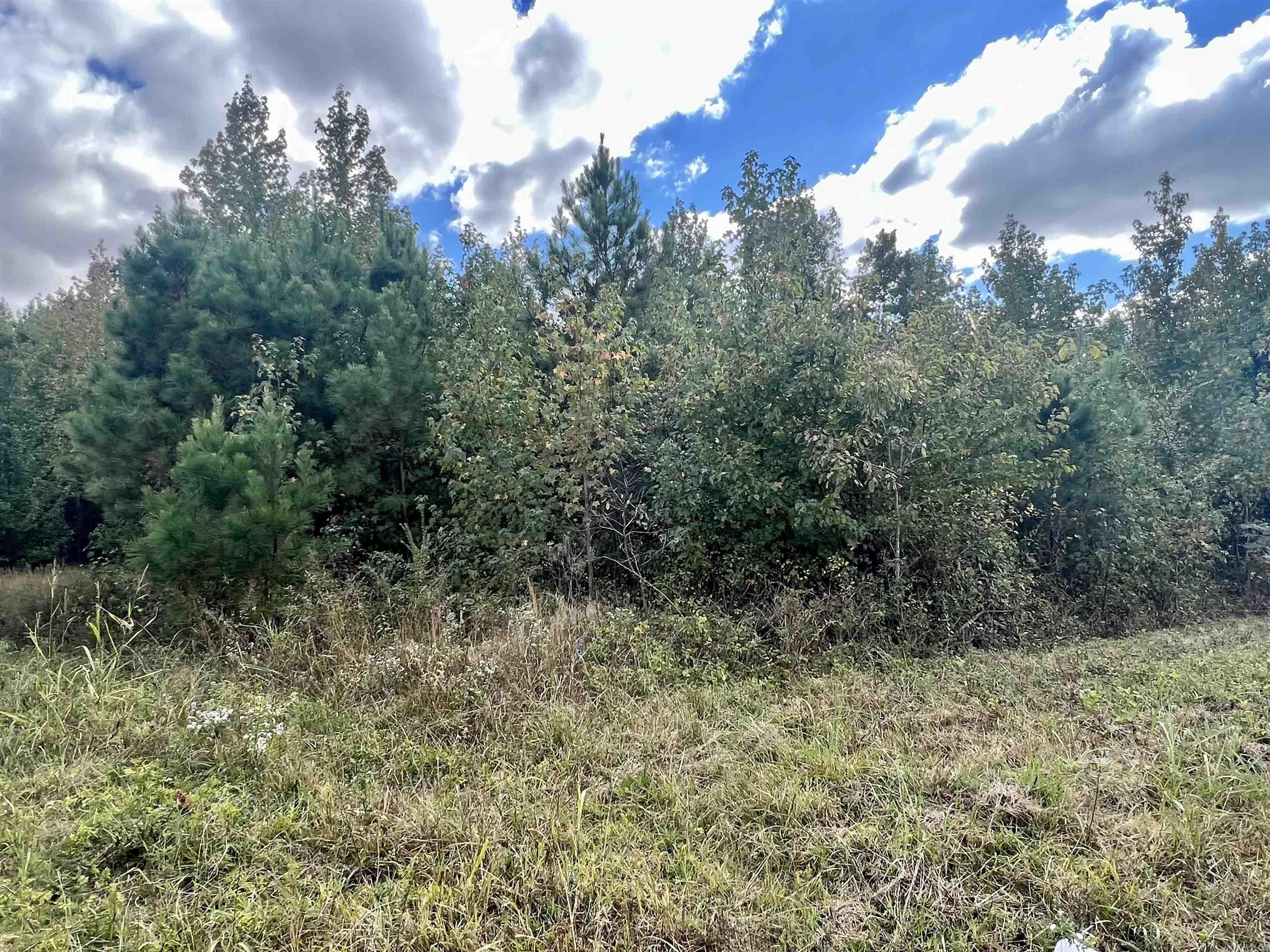 00 Hwy. 49  Brookland, AR