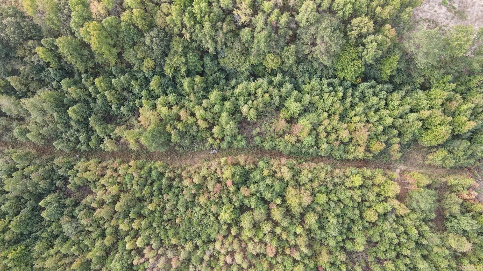 00 Hwy. 49  Brookland, AR