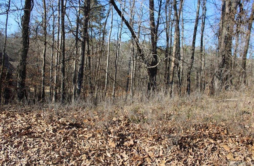 1672 Westchester  Hot Springs, AR