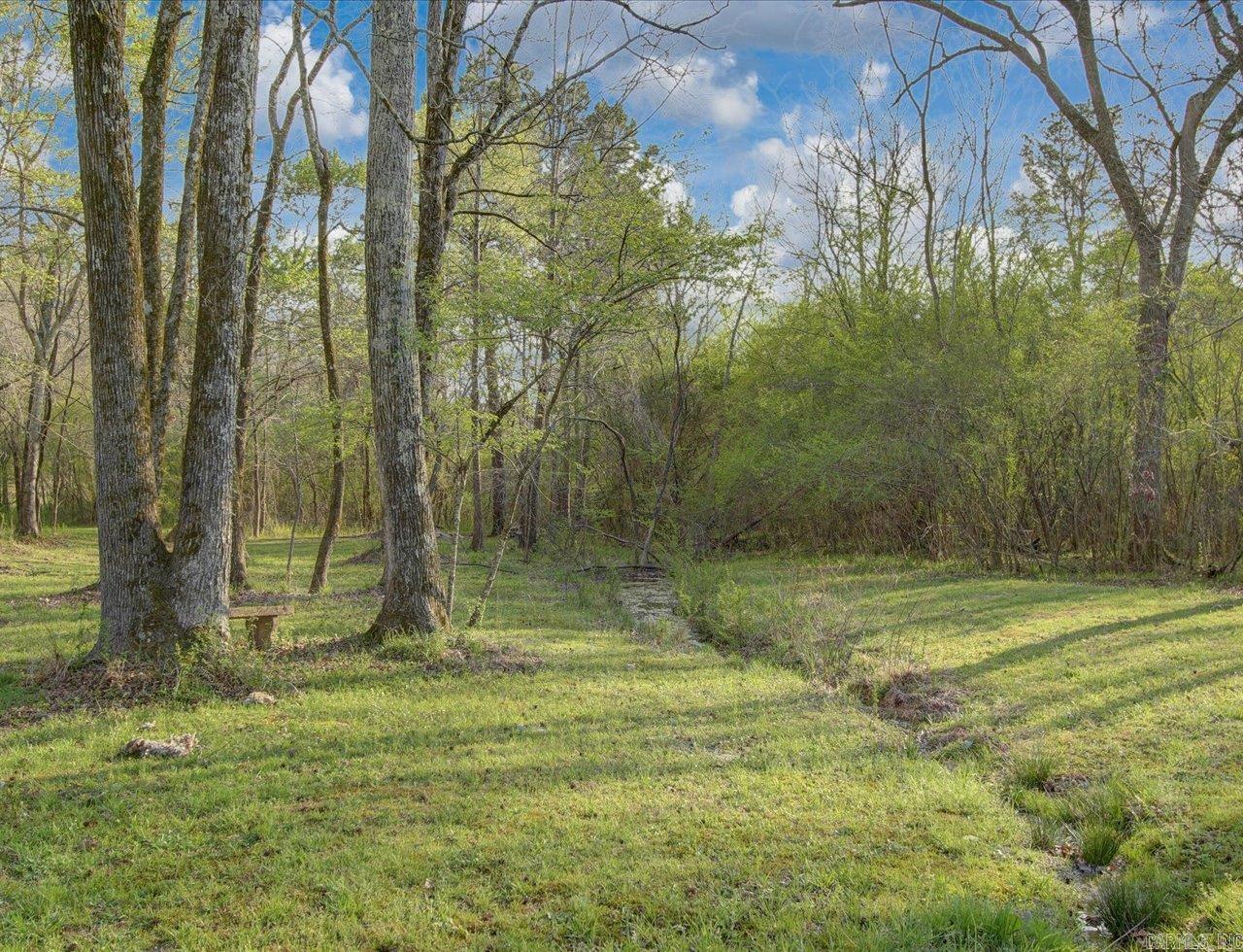 1635 Owl Creek  Royal, AR