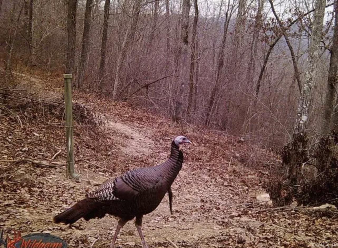 4085 Trace Ridge Rd.  Leslie, AR