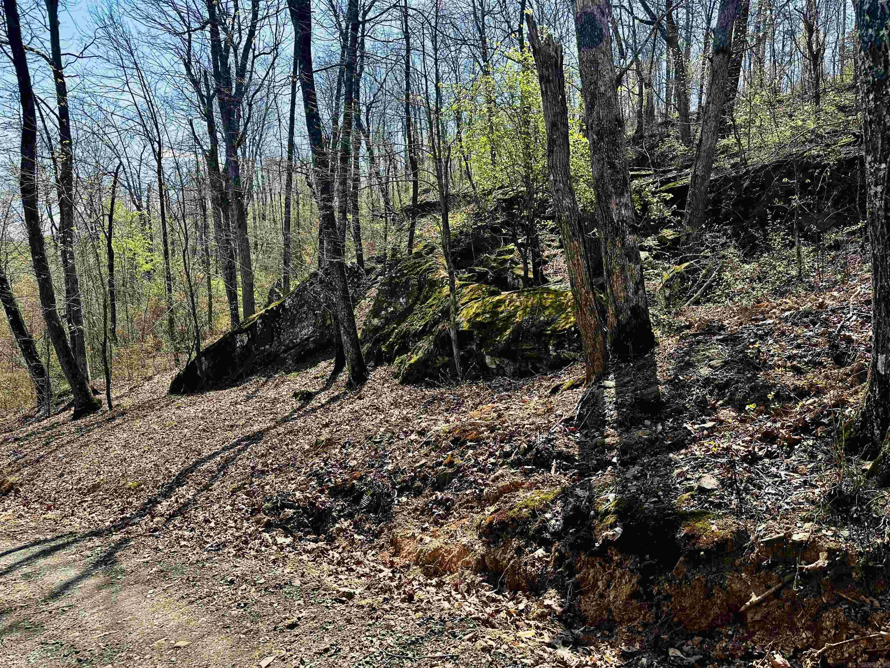 4085 Trace Ridge Rd.  Leslie, AR