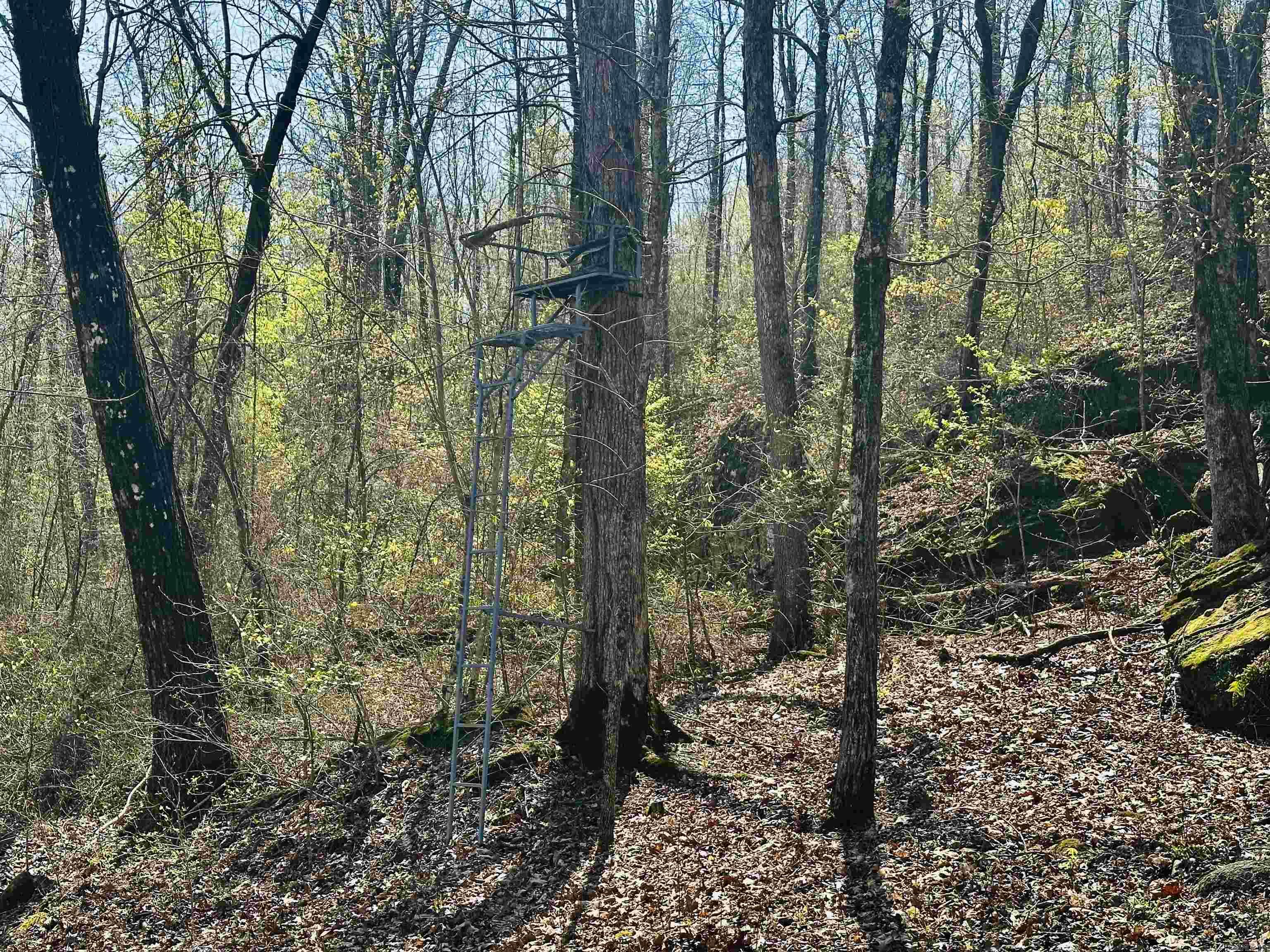 4085 Trace Ridge Rd.  Leslie, AR