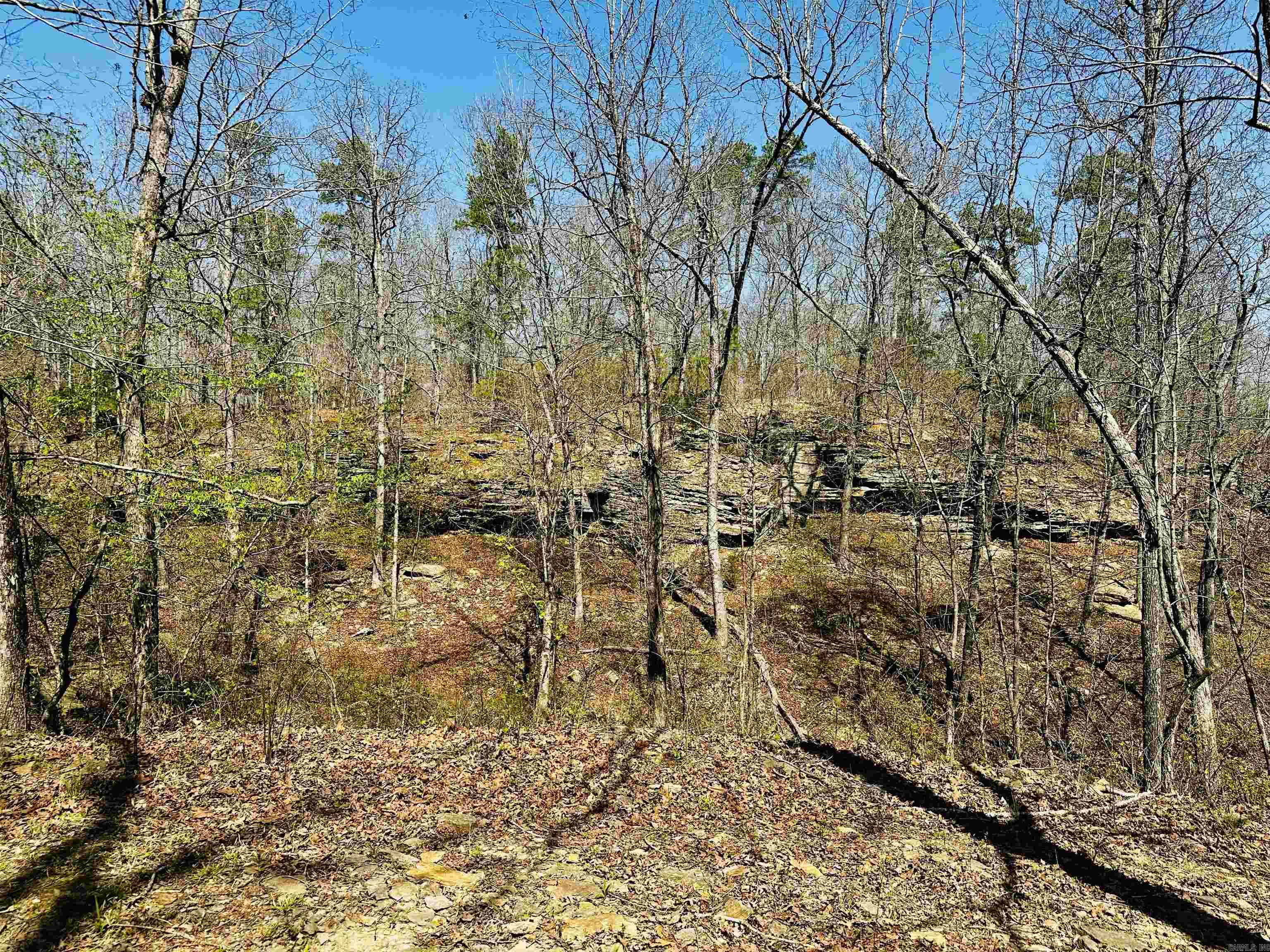 4085 Trace Ridge Rd.  Leslie, AR