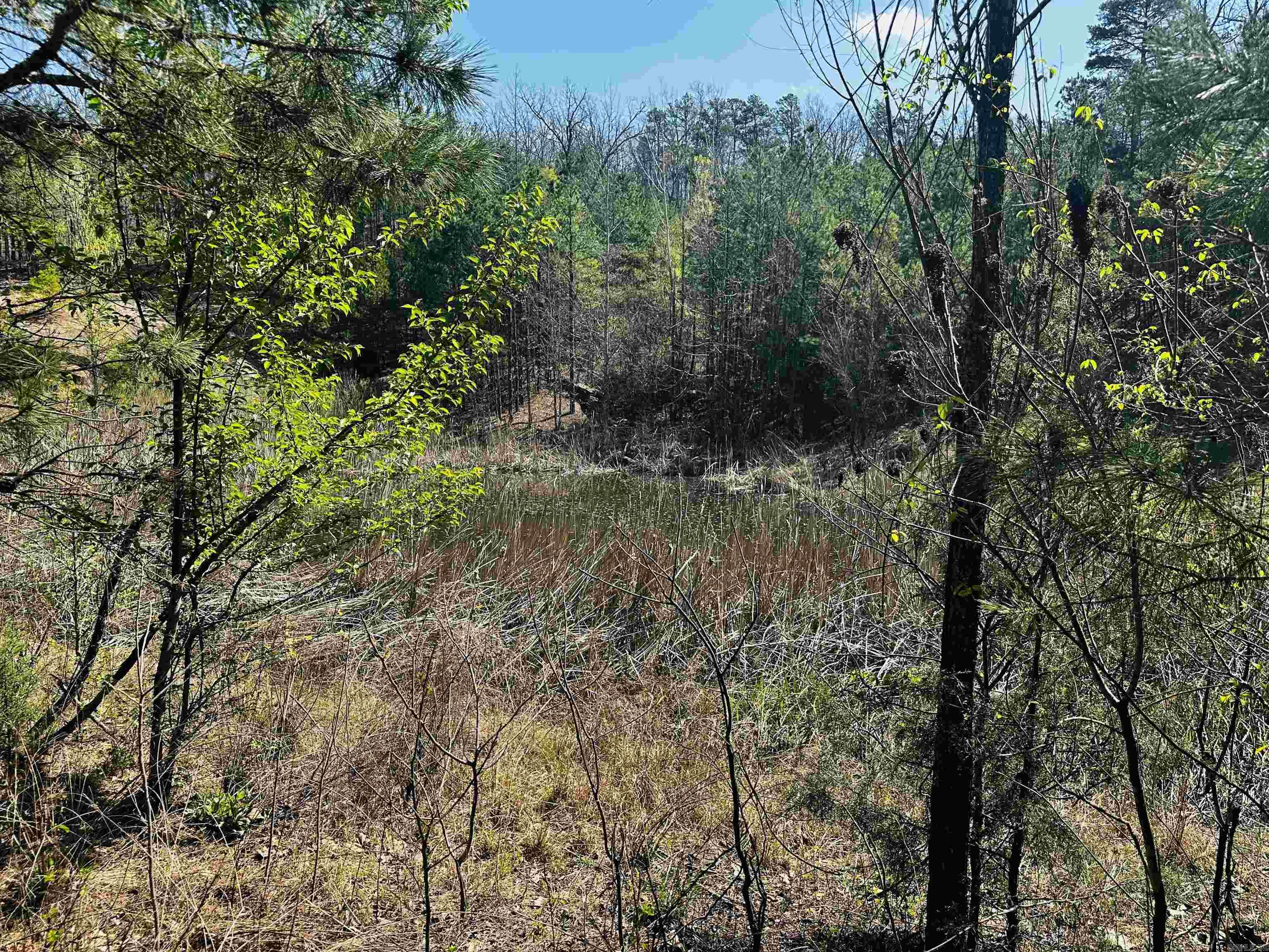 4085 Trace Ridge Rd.  Leslie, AR