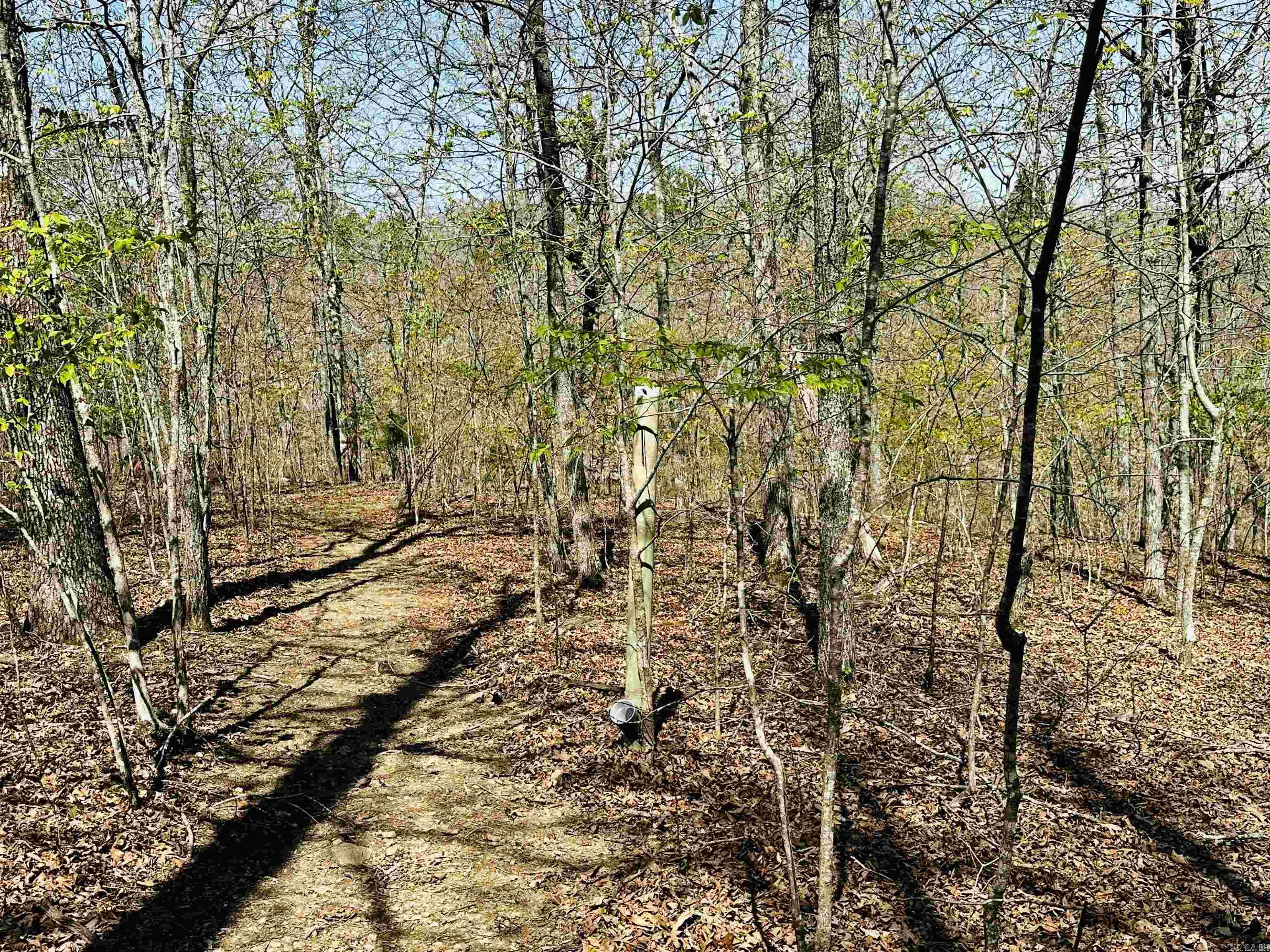 4085 Trace Ridge Rd.  Leslie, AR