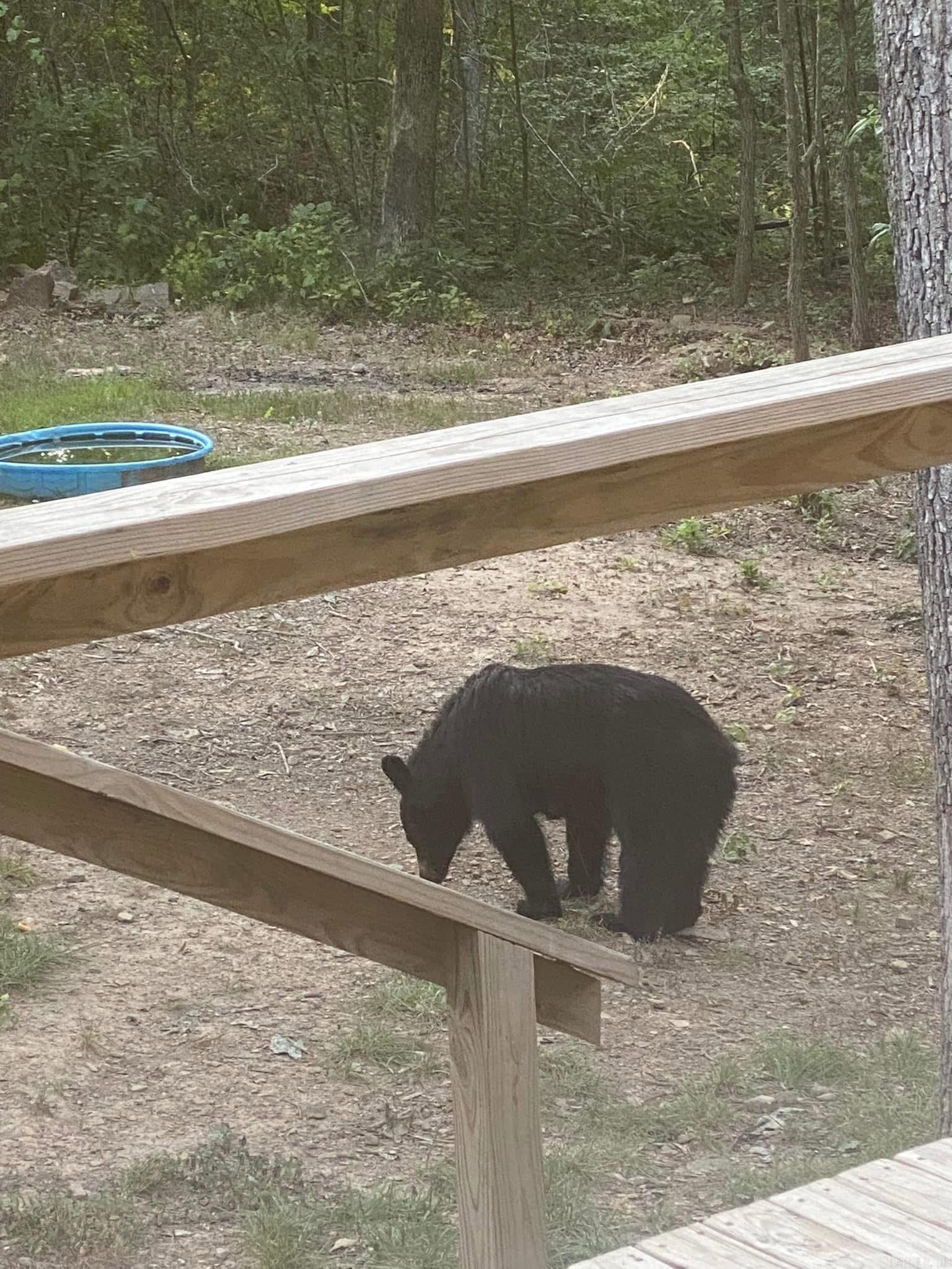 4085 Trace Ridge Rd.  Leslie, AR