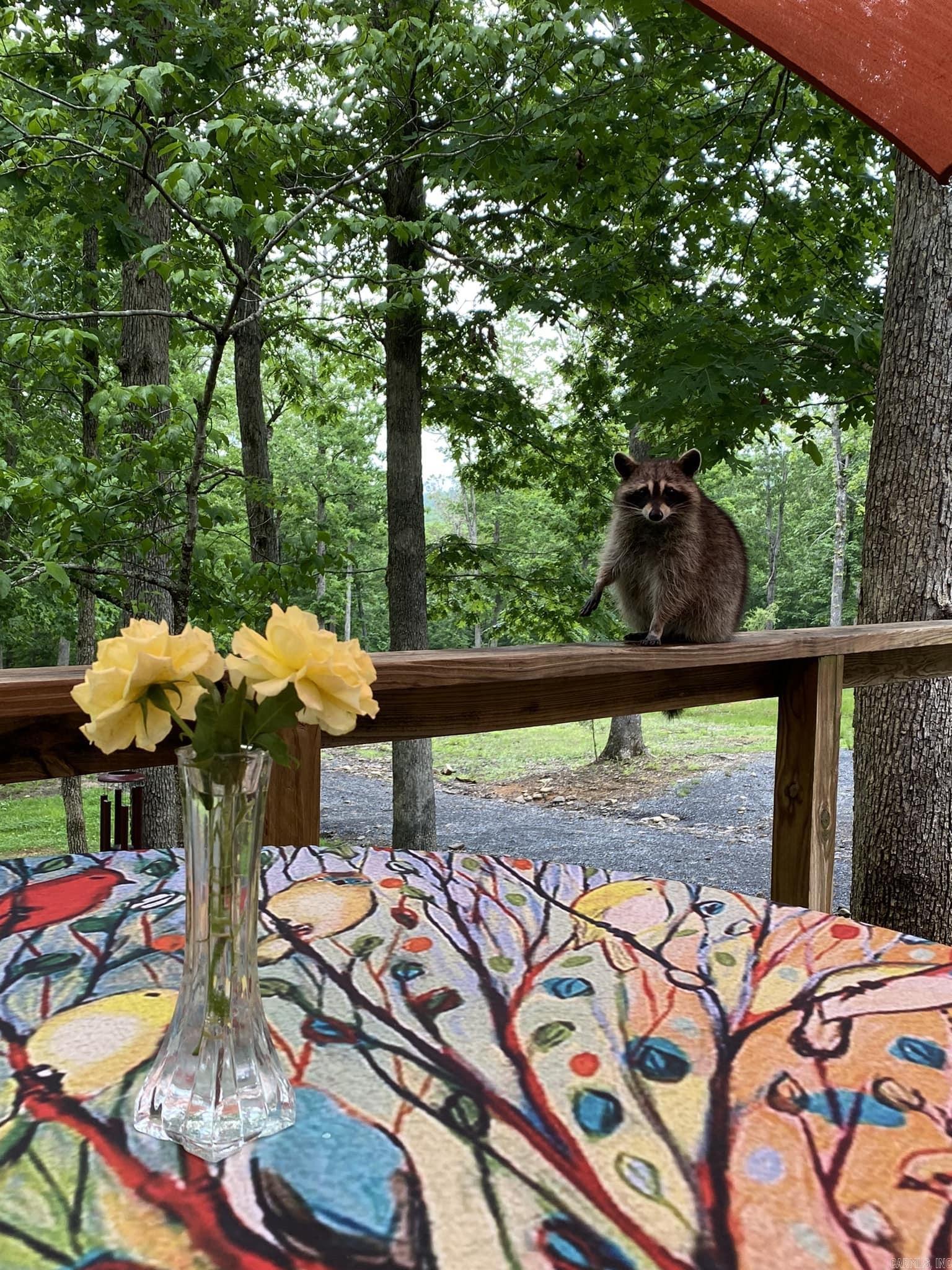 4085 Trace Ridge Rd.  Leslie, AR