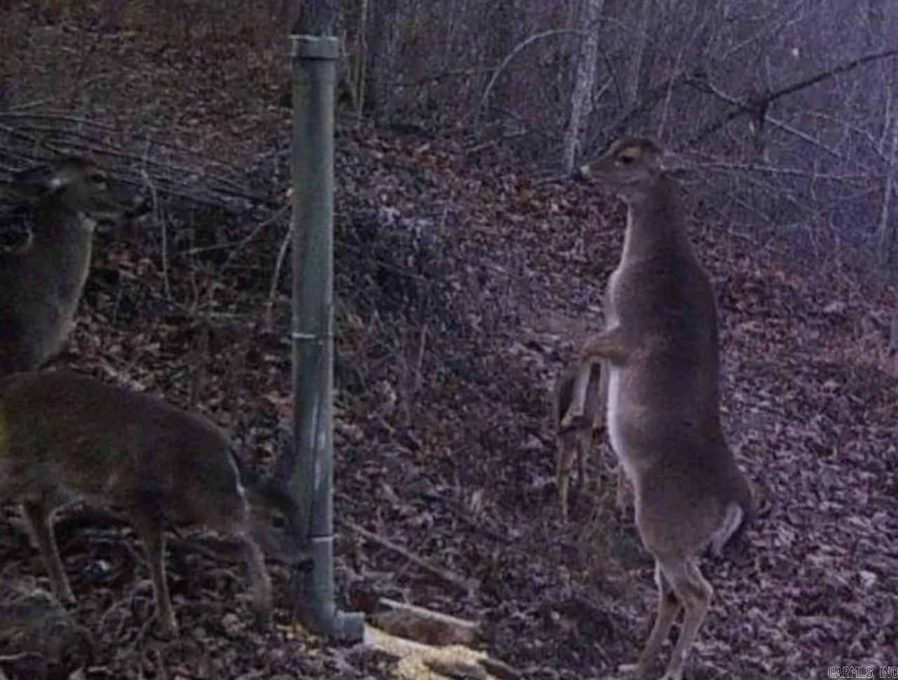 4085 Trace Ridge Rd.  Leslie, AR