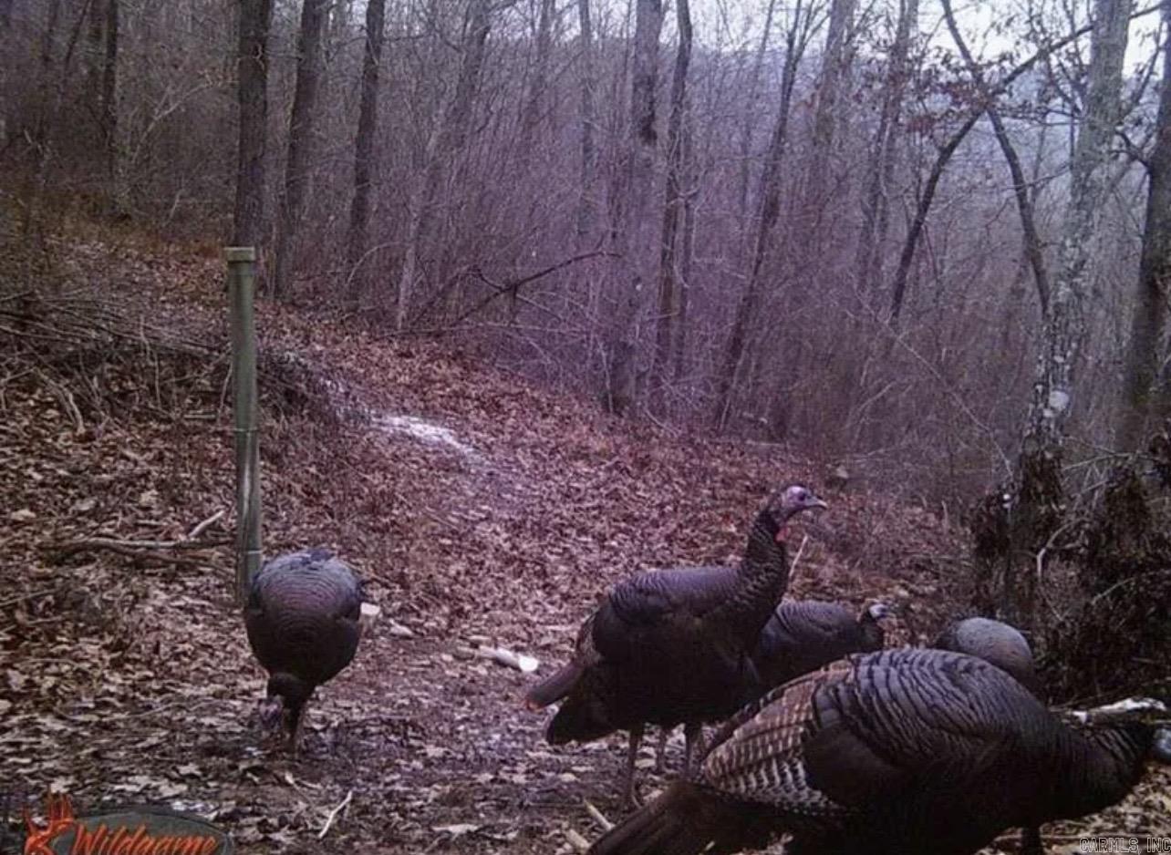 4085 Trace Ridge Rd.  Leslie, AR