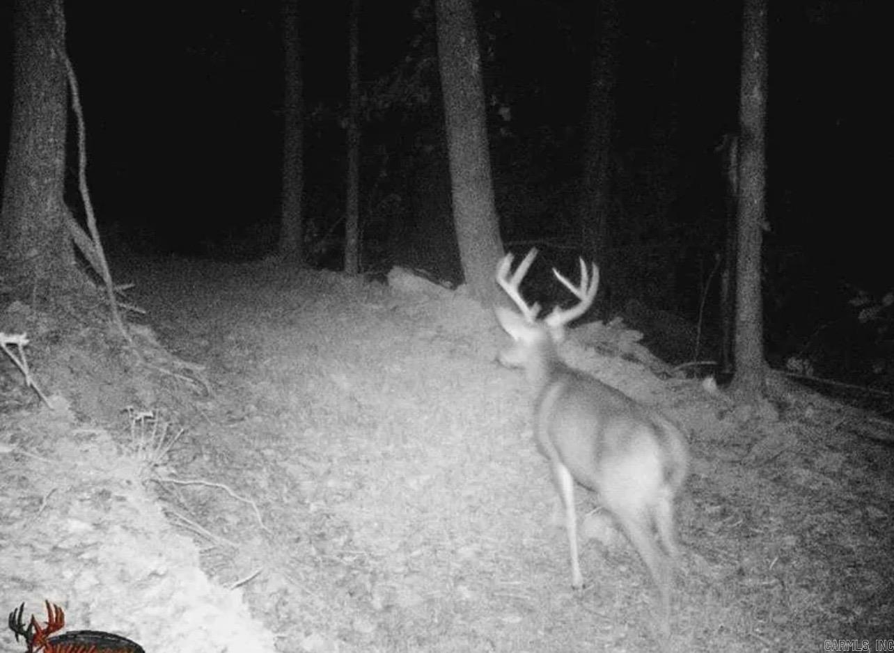 4085 Trace Ridge Rd.  Leslie, AR