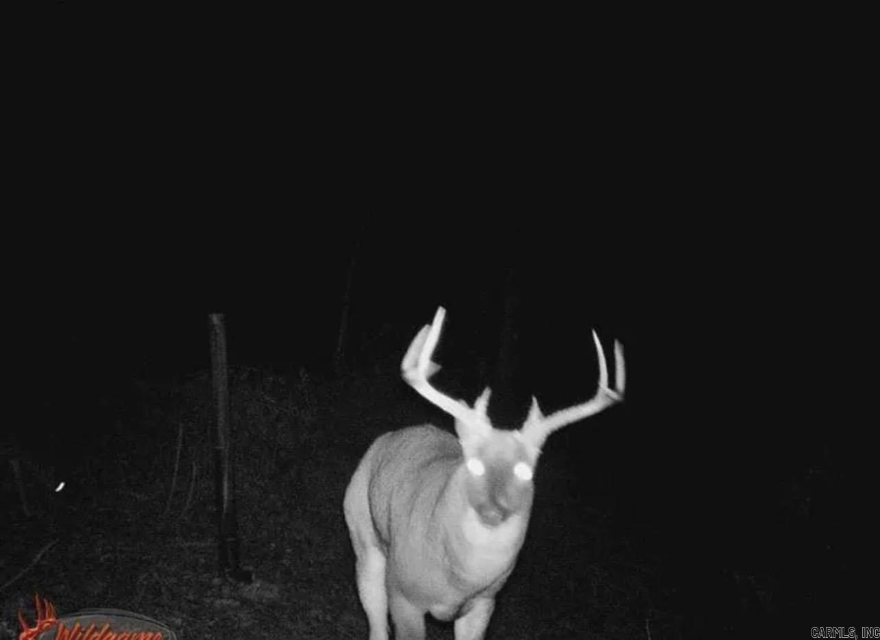 4085 Trace Ridge Rd.  Leslie, AR