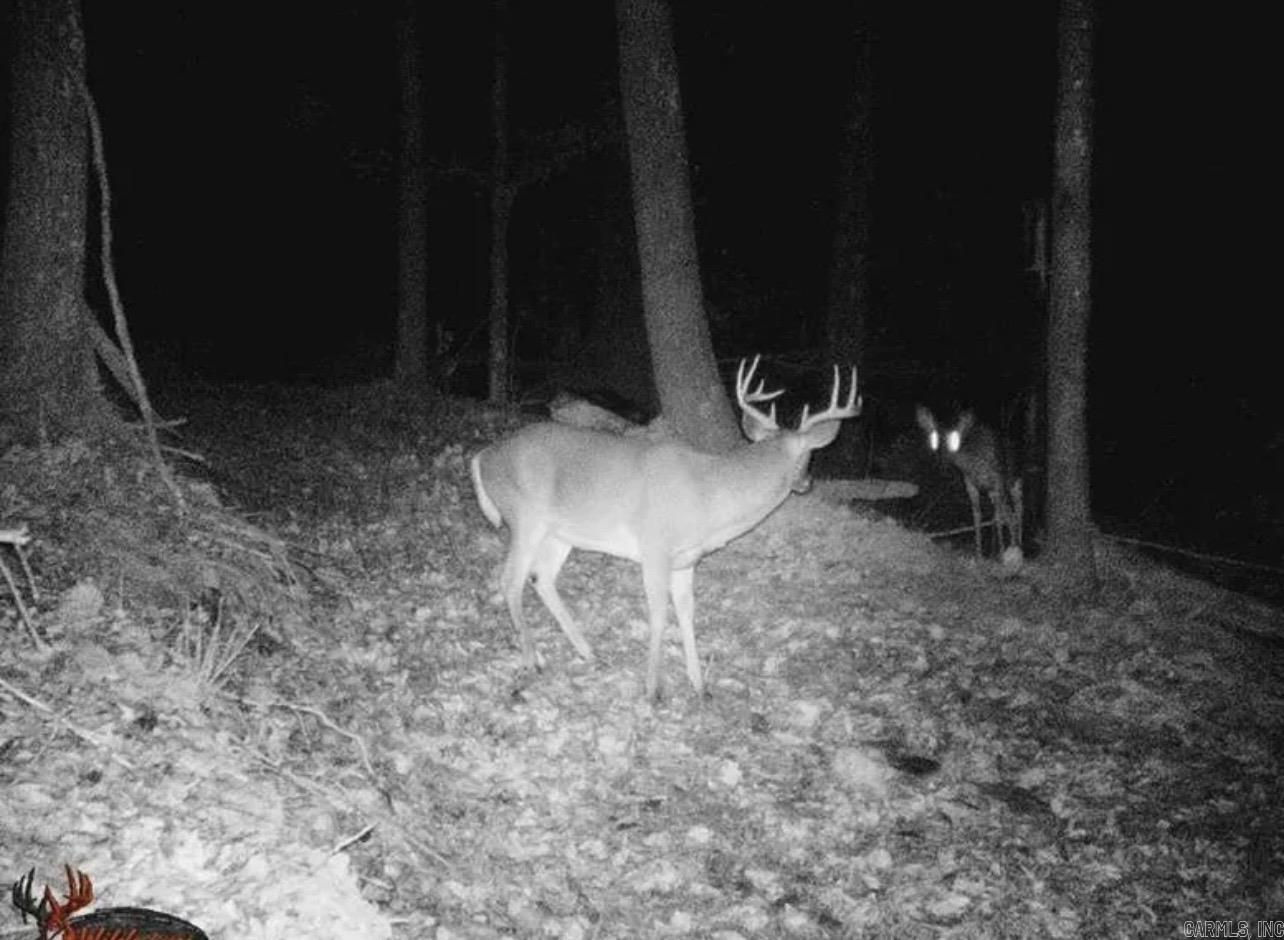 4085 Trace Ridge Rd.  Leslie, AR