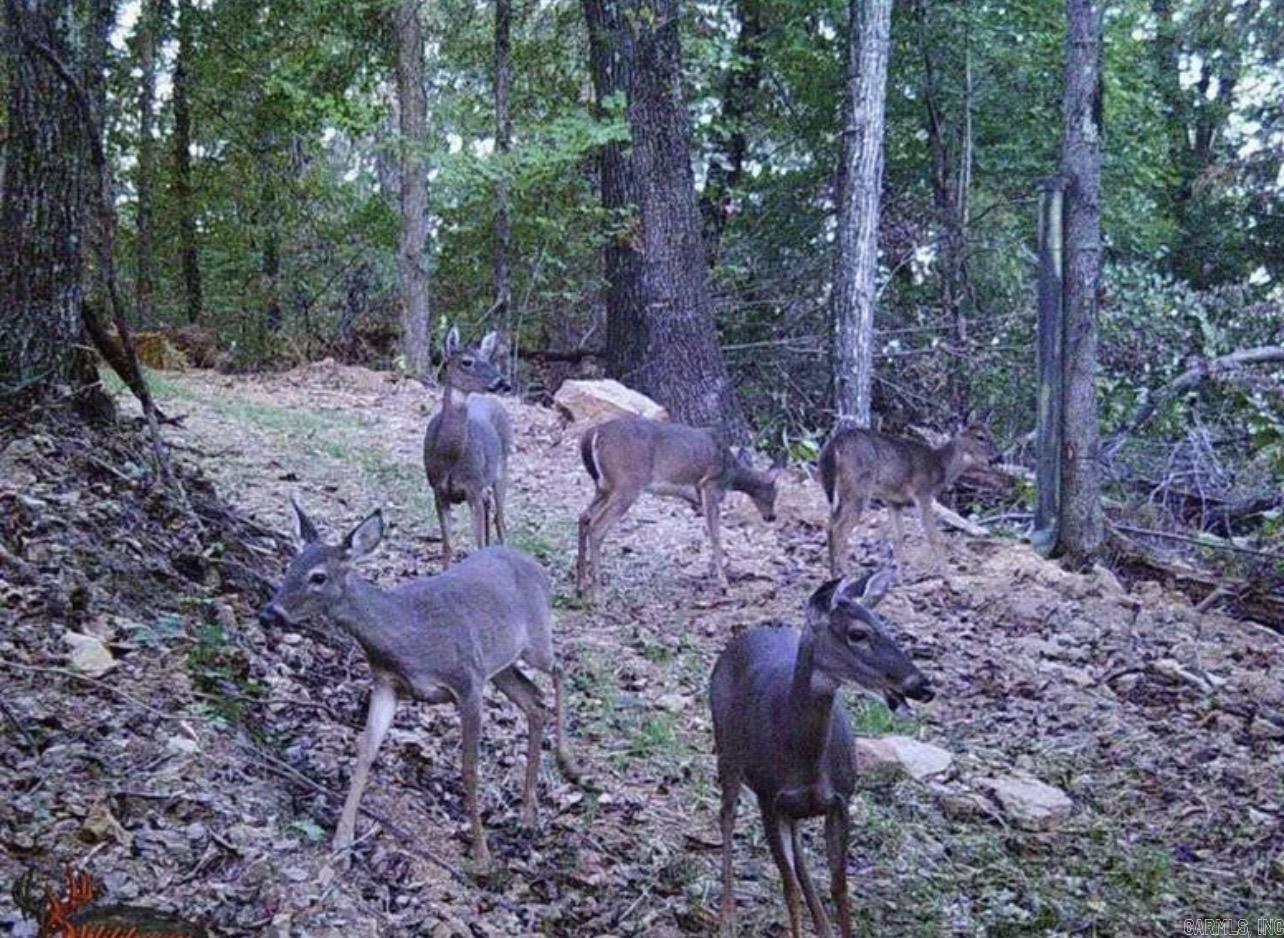 4085 Trace Ridge Rd.  Leslie, AR