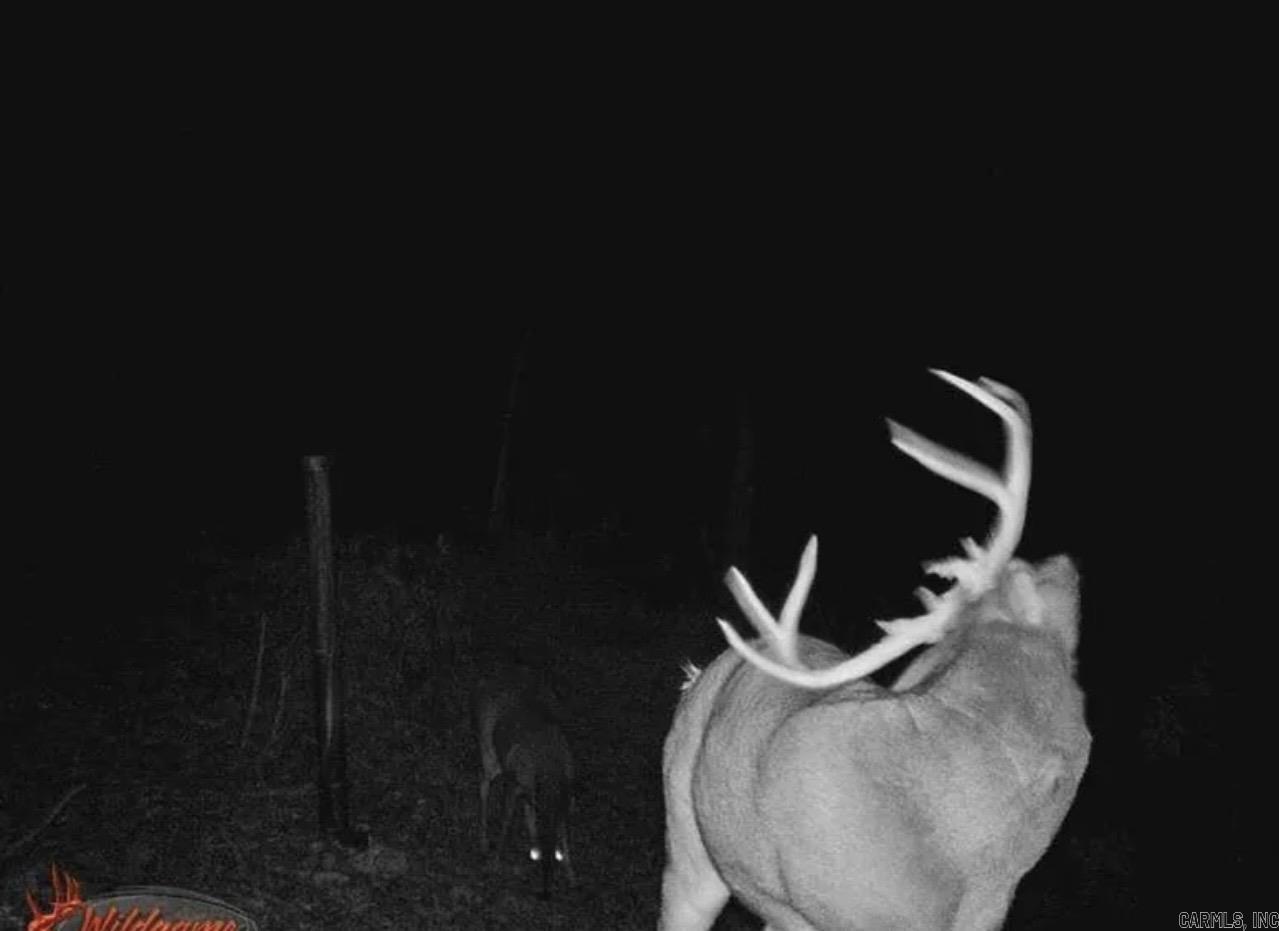 4085 Trace Ridge Rd.  Leslie, AR