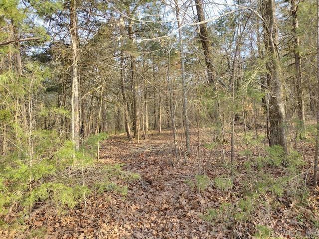 6 Riqueza  Hot Springs Village, AR