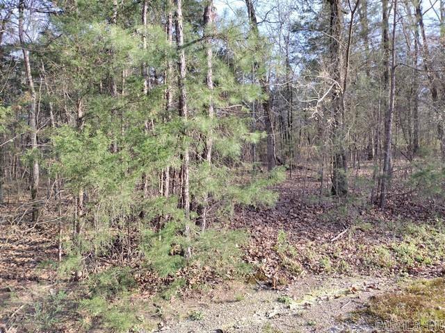 6 Riqueza  Hot Springs Village, AR