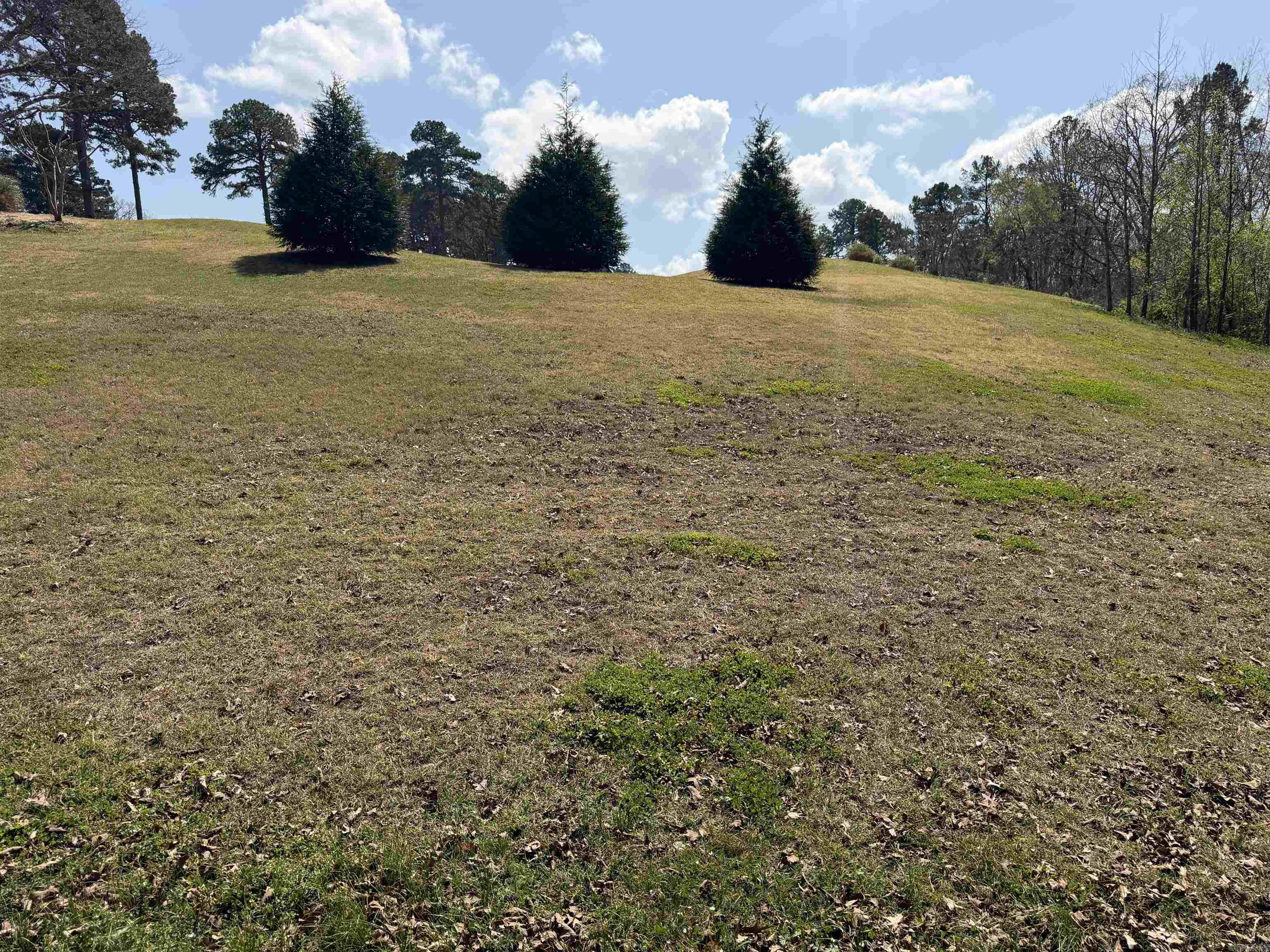 185 Cordero  Hot Springs Village, AR