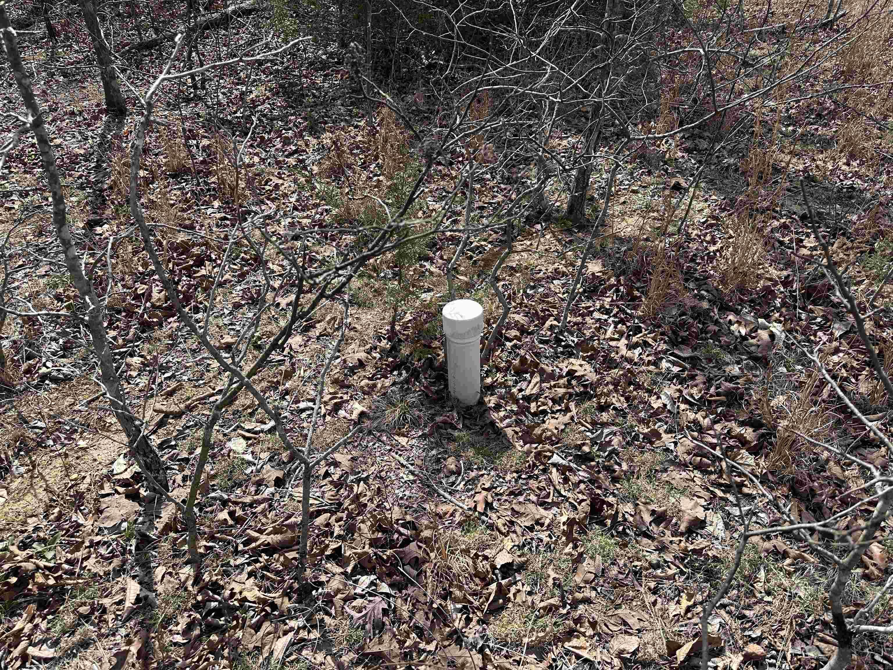  Claxton Rd  Ash Flat, AR