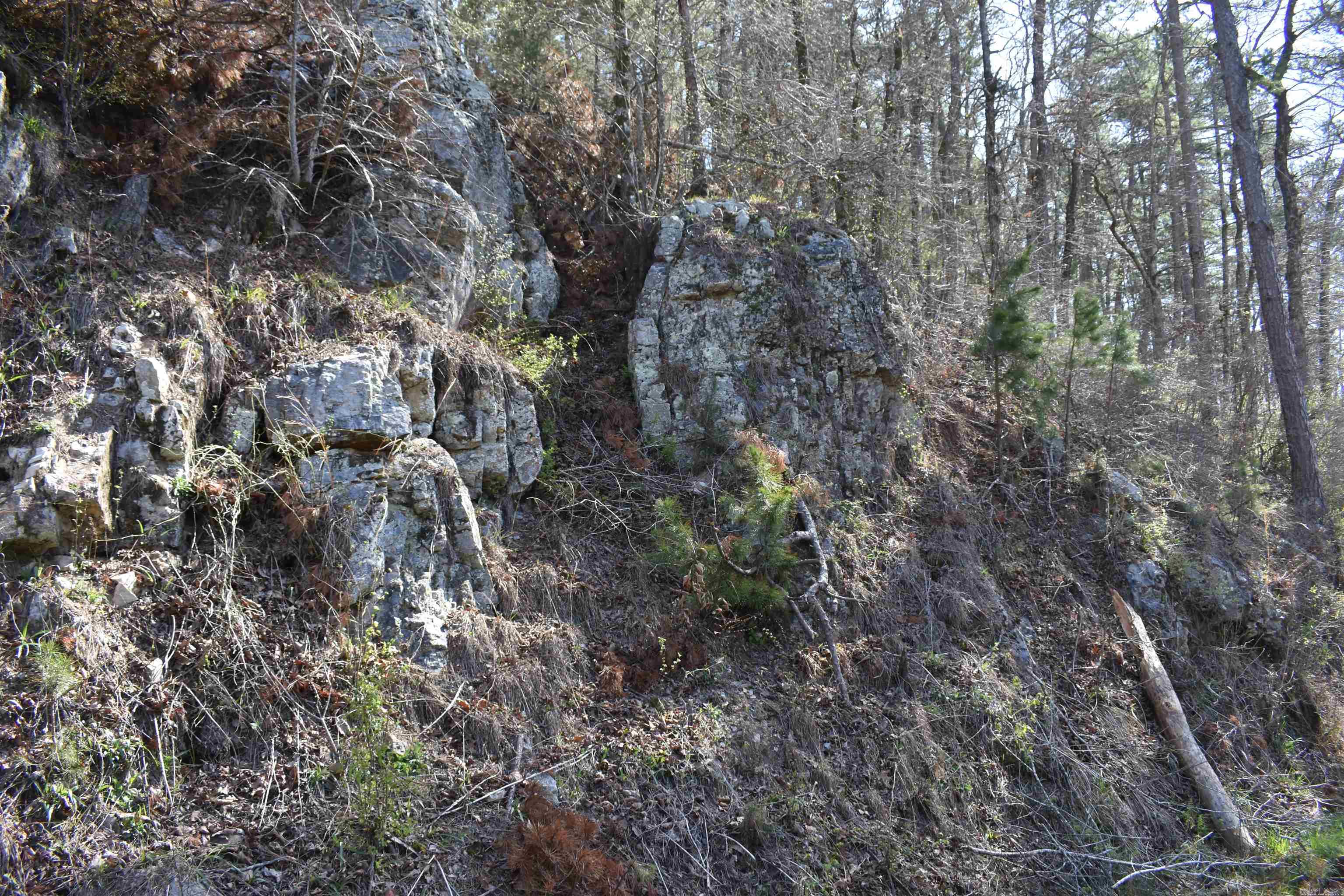 0000 Old Dallas Road  Norman, AR