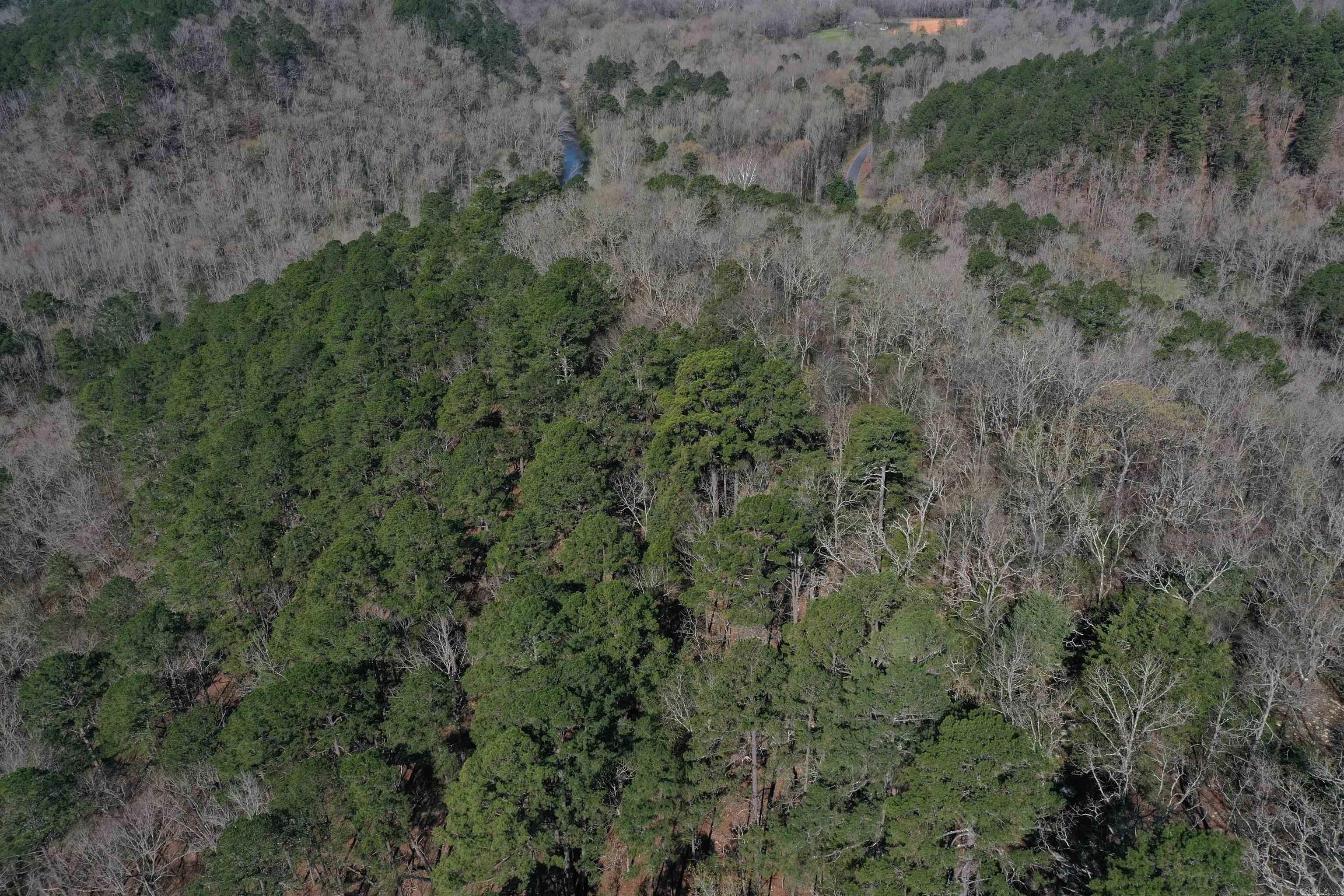 0000 Old Dallas Road  Norman, AR