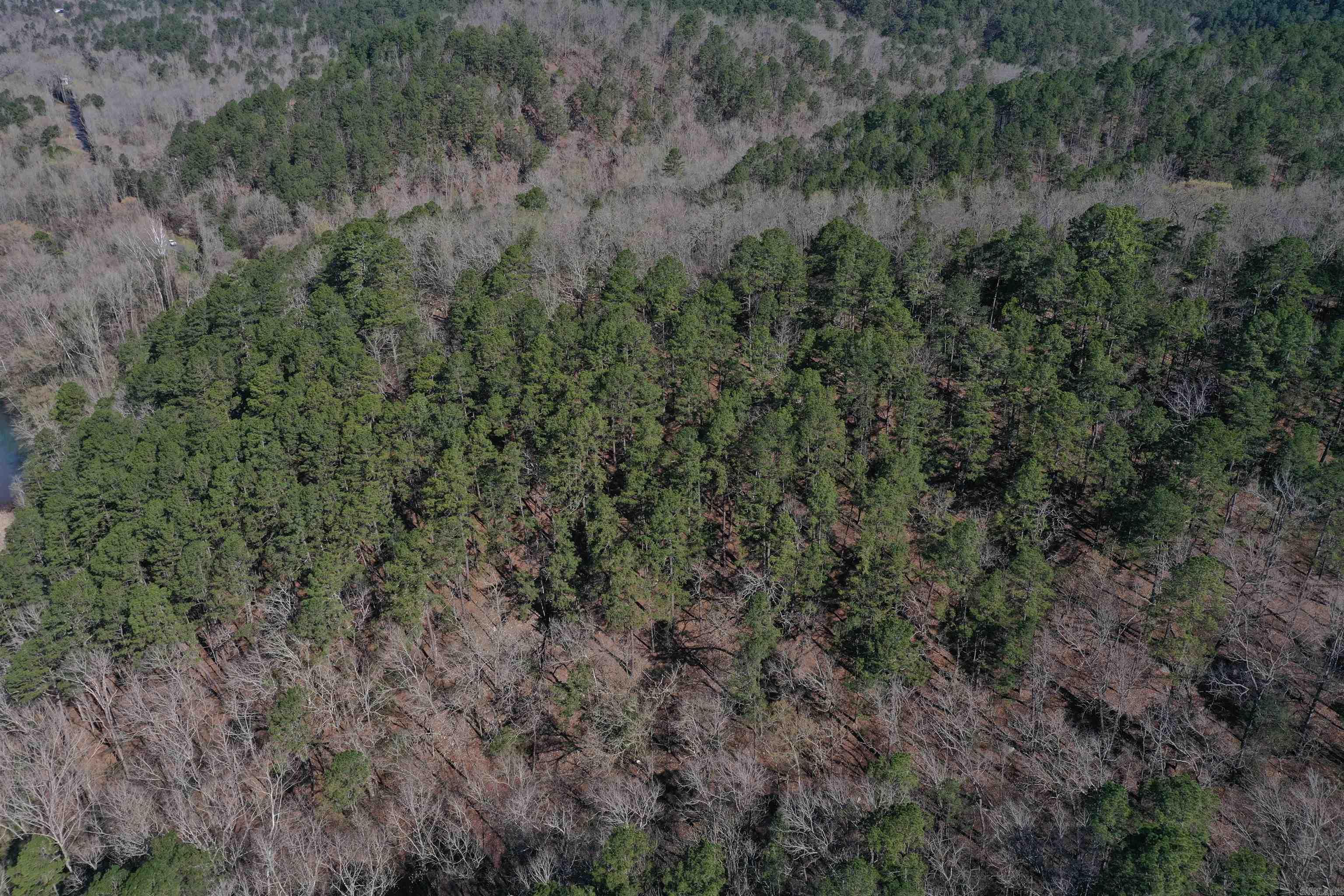 0000 Old Dallas Road  Norman, AR