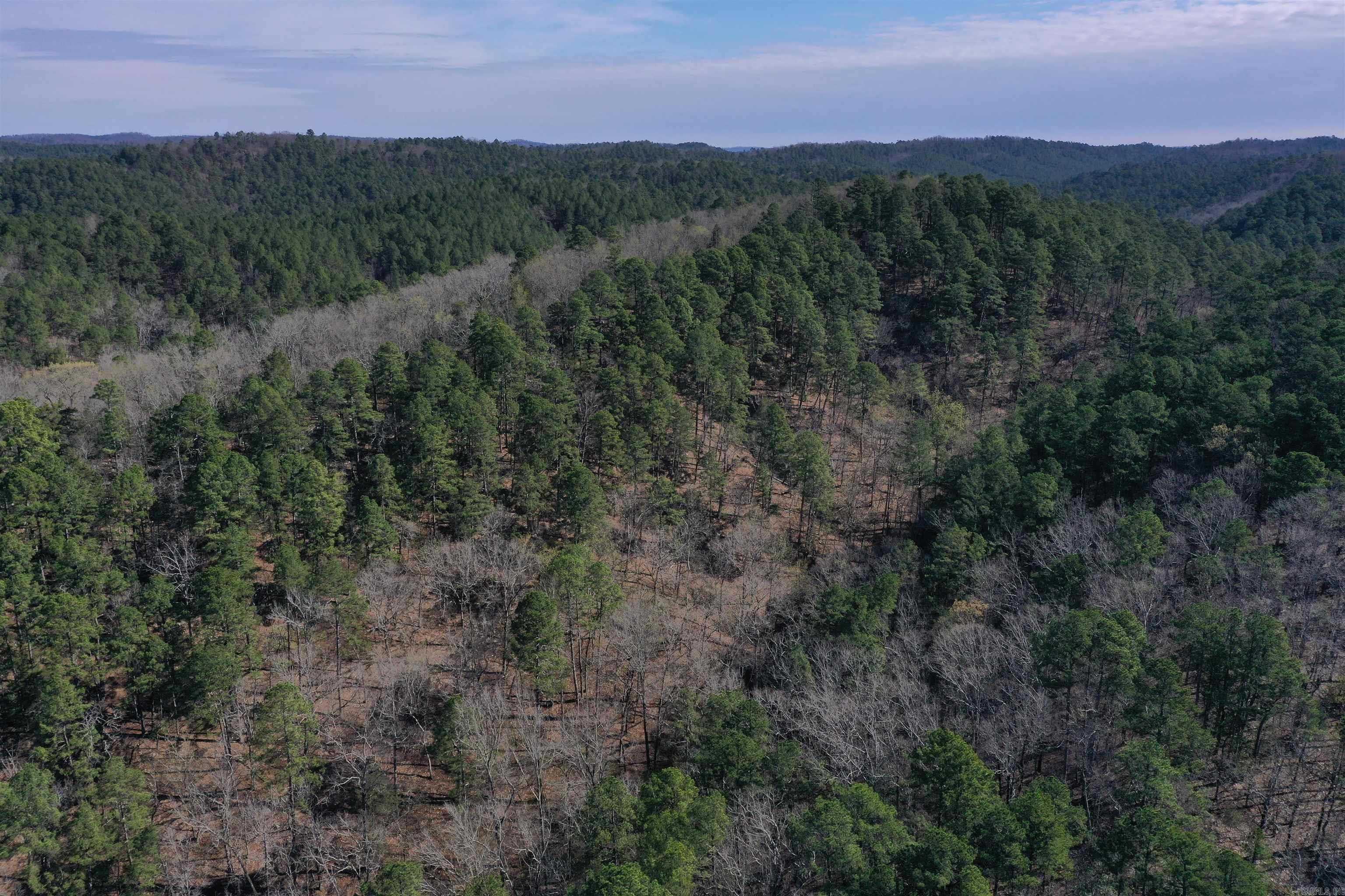 0000 Old Dallas Road  Norman, AR