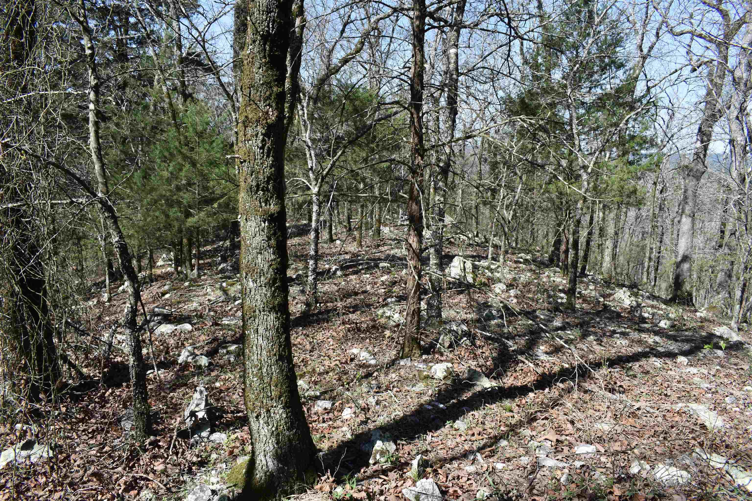 0000 Old Dallas Road  Norman, AR