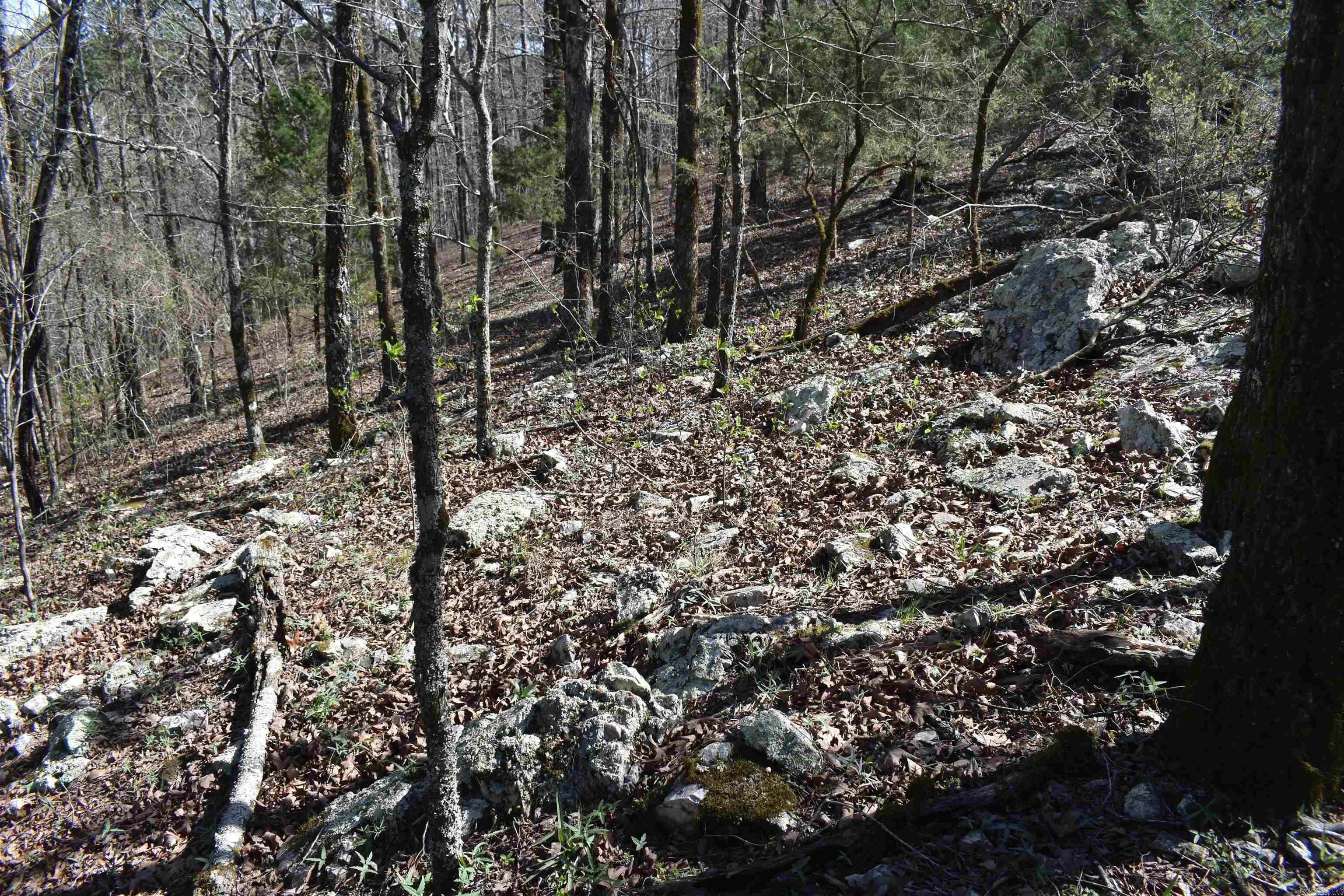 0000 Old Dallas Road  Norman, AR