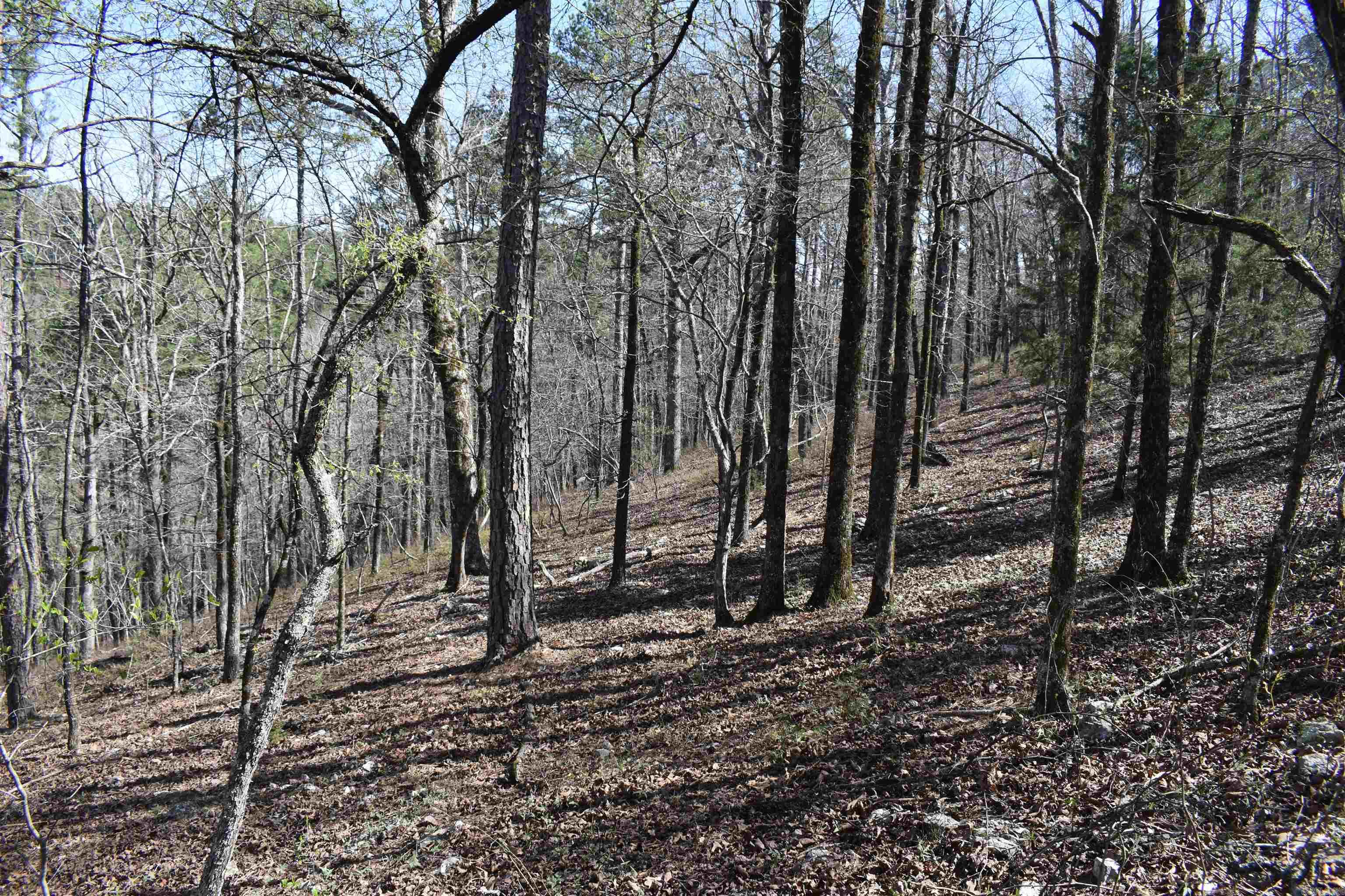 0000 Old Dallas Road  Norman, AR