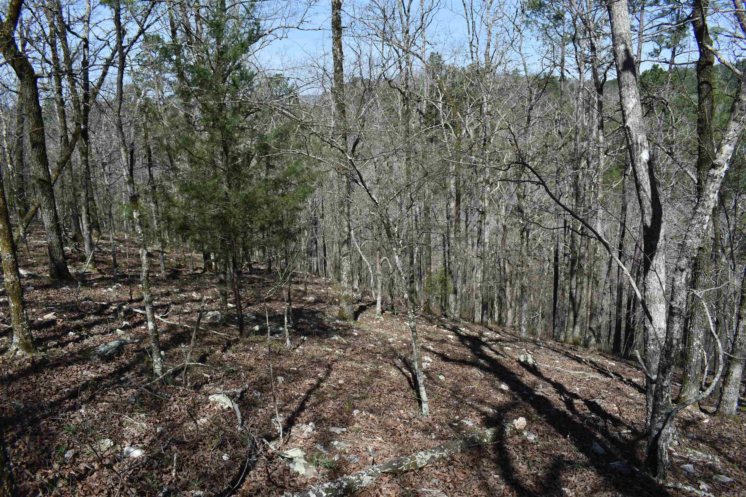 0000 Old Dallas Road  Norman, AR