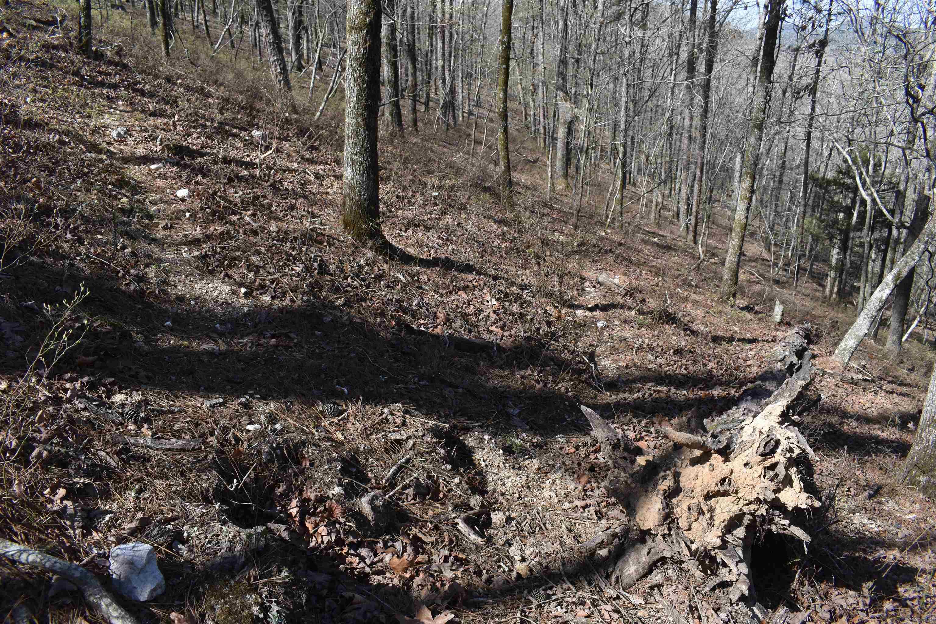 0000 Old Dallas Road  Norman, AR