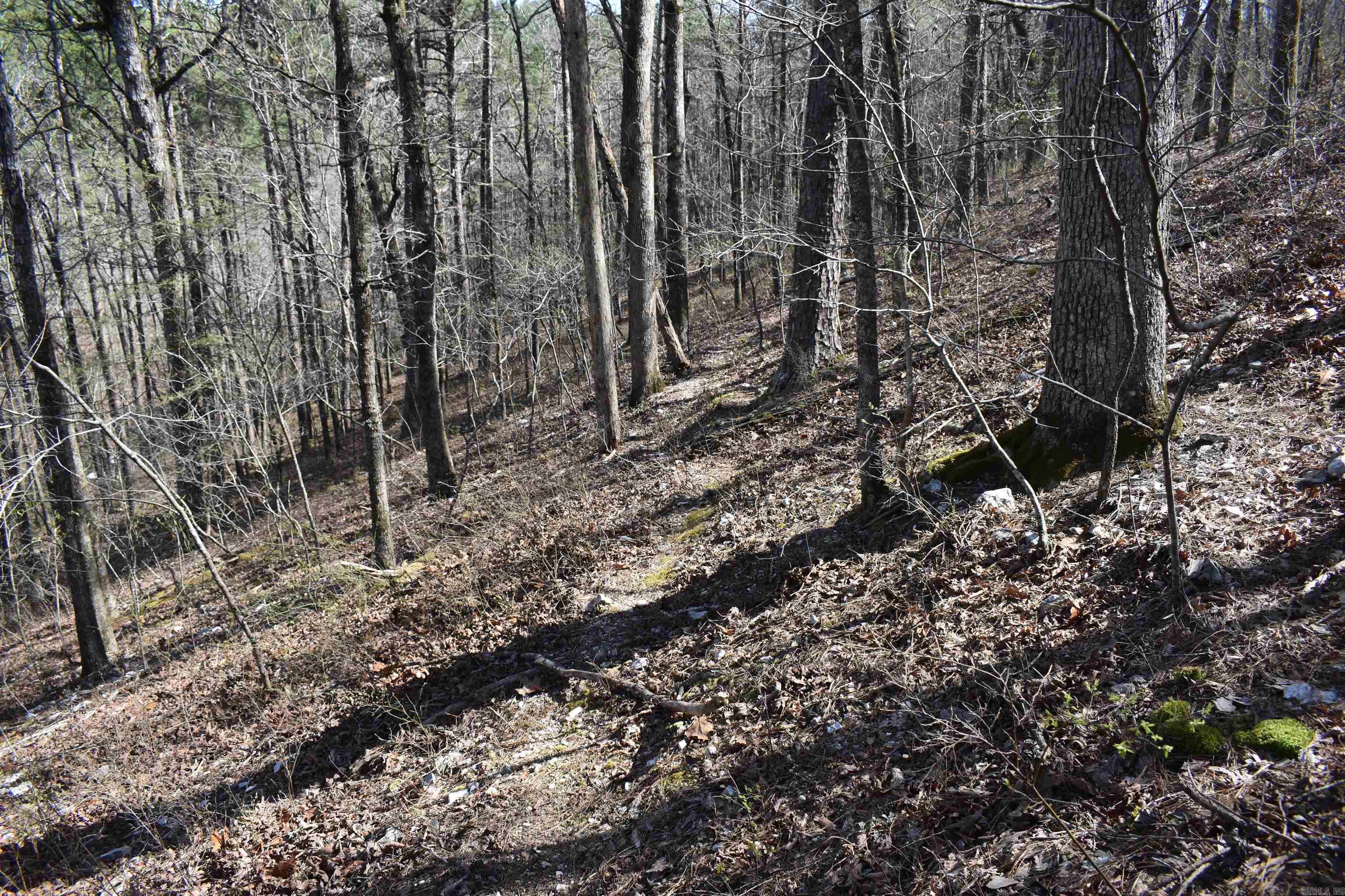 0000 Old Dallas Road  Norman, AR