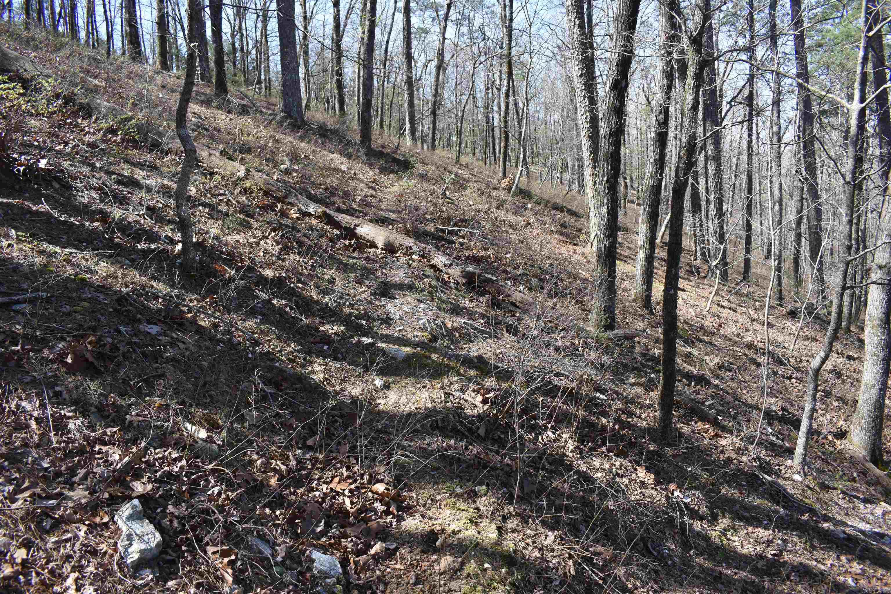 0000 Old Dallas Road  Norman, AR