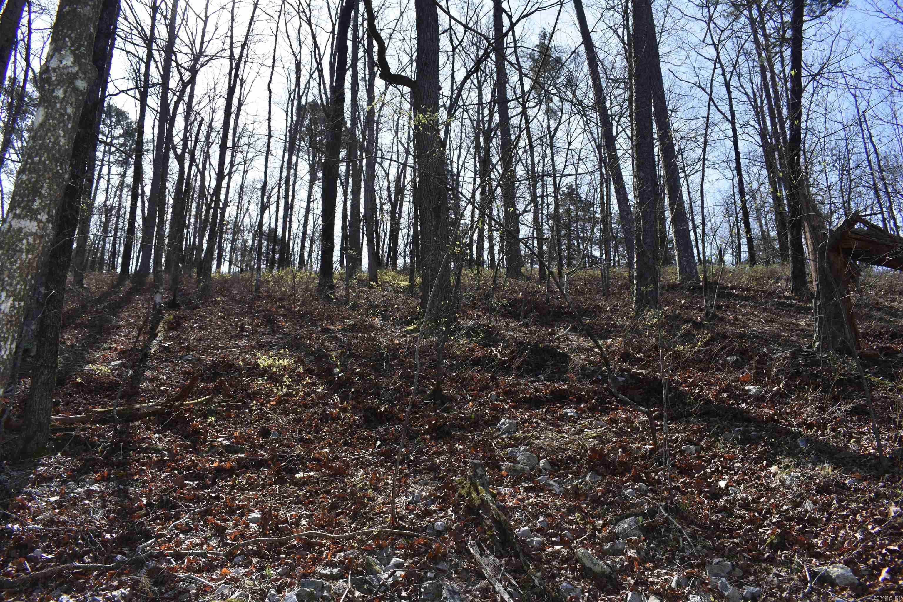 0000 Old Dallas Road  Norman, AR