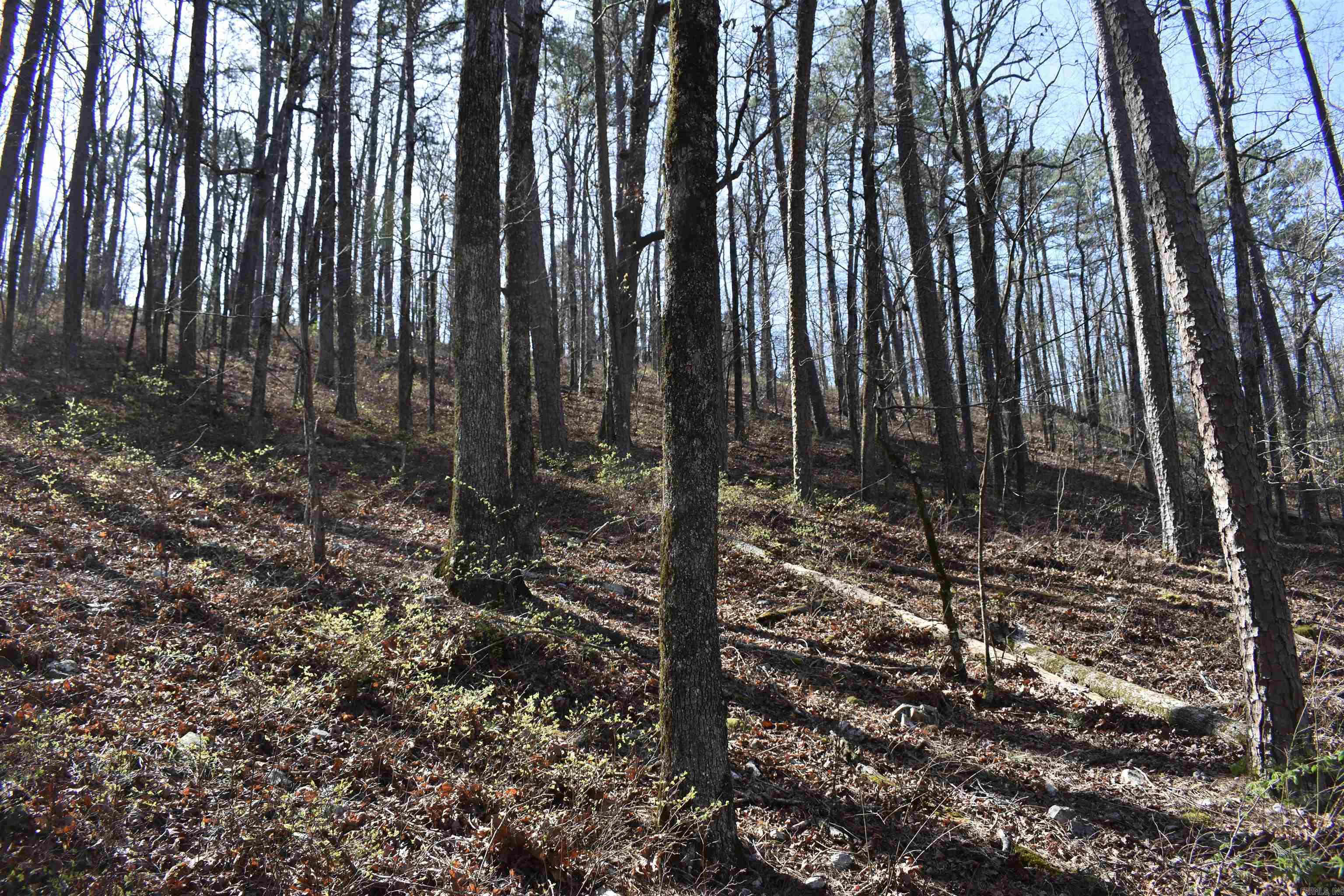 0000 Old Dallas Road  Norman, AR